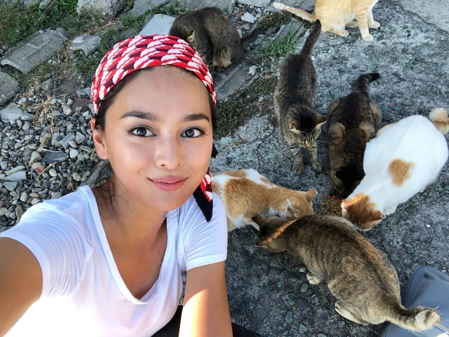 遊海 Yuumiさんのインスタグラム写真 - (遊海 YuumiInstagram)「Look ! so lovely and cute 🐈  all of them have different attitude !  I brought 6kg of cat food to the island.  Some wait for their turn, some step on me and get food 🥰  This Island is 1.6km long and there are 200 over cats and 6 people with an average age of 75 years old are living in this island.  If you are going there please bring for them some food and if you want to support them please google (aoshima neko wo shien suru kai)  今回初めて新幹線に乗って愛媛県に行ってきました。 愛媛県の伊予長浜から船で青島(猫島) に行ってきました。 みんな可愛くて愛らしかったです。 この島には200匹以上の猫と6人の平均年齢75歳の人が住んでいます。  今回私はキャットフードを6kg手持ちで持って行きました。 猫ちゃんたちいっぱい食べてくれました。  この愛らしい猫ちゃん達に会いに行く場合はキャットフードを忘れずに！ この子達をサポートをしてあげたい場合は (青島猫を支援する会)とググってください♡  この島に行くのに、船は一日2回しかないです。 乗れる人数も決まっているので、早い者勝ちです。 mereka semua mempunyai sikap yang berbeza!  Saya membawa 6kg makanan kucing ke pulau itu.  Sesetengah menunggu giliran mereka, beberapa langkah saya dan mendapatkan makanan 🥰  Pulau ini adalah 1.6km panjang dan terdapat 200 kucing dan 6 orang dengan purata umur 75 tahun tinggal di pulau ini.  Jika anda pergi ke sana, bawakan makanan mereka dan jika anda ingin menyokong mereka sila google (aoshima neko shien suru kai )  #青島 #青島猫 #青島猫島 #aoshima #aoshimacatisland #catisland #aoshimacat #love #cats #animal #peace #life #preciouslife #Youmeforanimals #ehime #ehimeprefecture #愛媛県  愛媛 #伊予長浜 #日本 #japan #lovetoanimals #cats #lovecats #catlove #animallove #supportanimals #動物愛護」9月16日 18時41分 - yuumi_kato