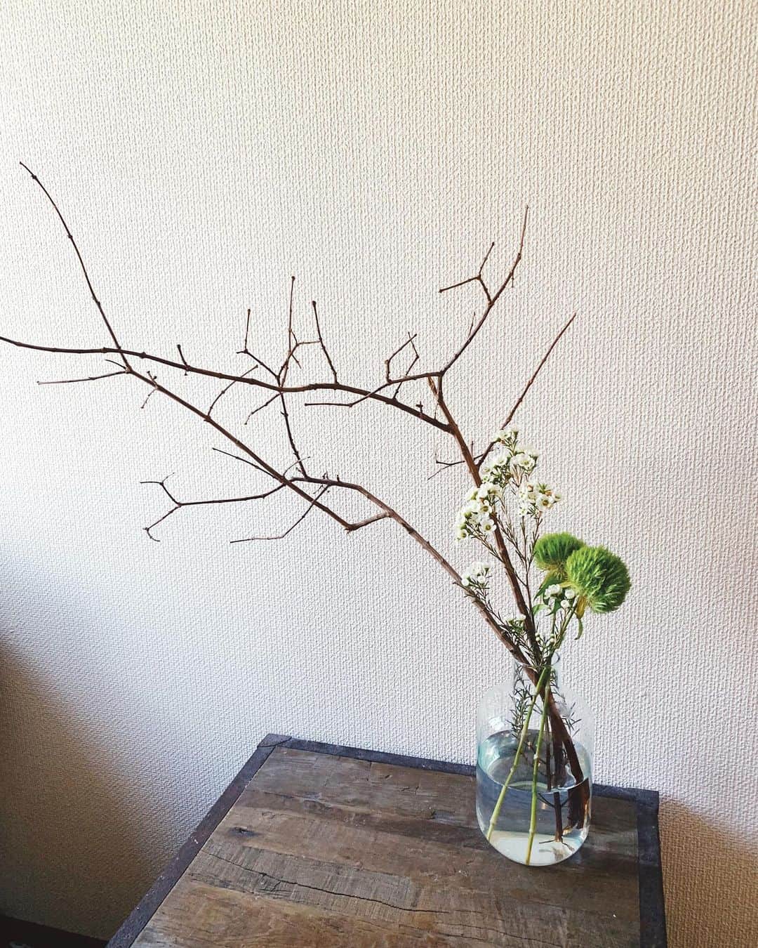 ジュジュのインスタグラム：「休日...🌿 . お花の入れ替え🥀 . グリーントリュフ ワックスフラワー// . 最近近所のFlowershopが私好みのお花が 揃っている事に気がついた。 . お世話になります🗣♡ . #ヒラカノシュミ」