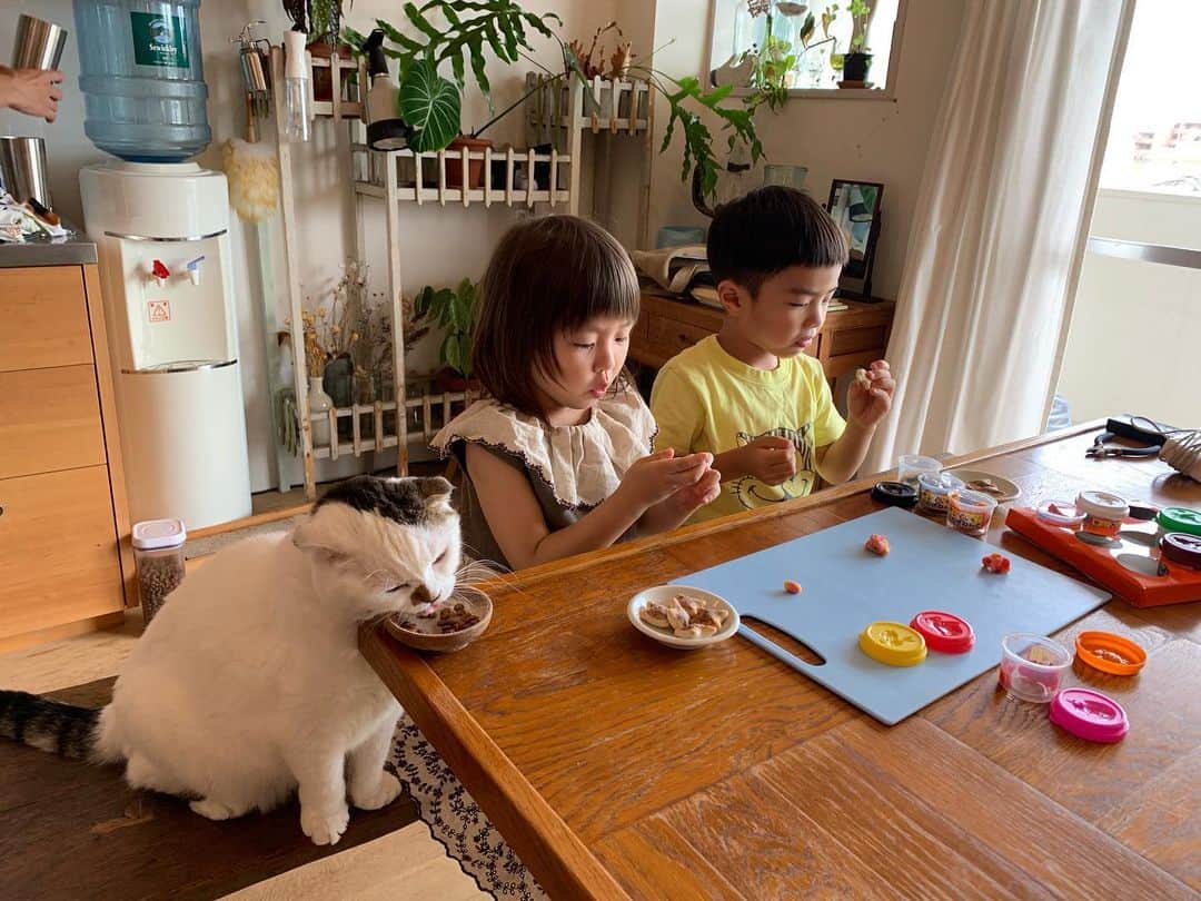 坂本美雨のインスタグラム