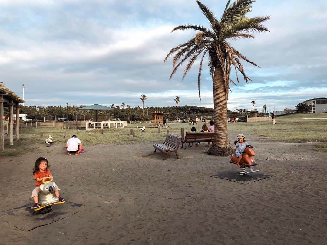 堀舞紀さんのインスタグラム写真 - (堀舞紀Instagram)「🌴 . . . #beachsidepark!!! . . in#japan . . . #shonan  #湘南 #公園 #palmtree  #kidsmood #haneypresets #湘南map」9月16日 12時04分 - mainohori