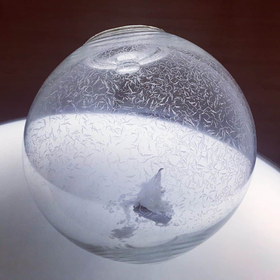 鶴田真由のインスタグラム：「宮永愛子展@高松市美術館」