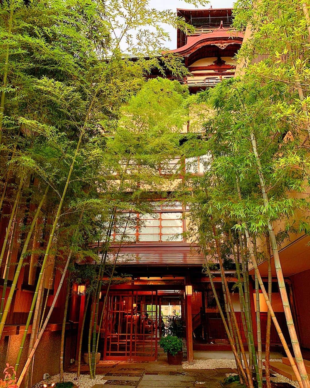 百合華さんのインスタグラム写真 - (百合華Instagram)「京都の鴨川沿いにある国指定有形文化財『FUNATSURU KYOTO KAMOGAWA RESORT(鮒鶴京都鴨川リゾート)』にてディナータイム🍽﻿ ﻿ 京都の歴史を感じる外観とお洒落でモダンな内装が融合したとっても素敵な建築物にうっとり✨✨✨﻿ ﻿ 雨がやんで納涼床でまったりしていたら珍しく猫ちゃんが遊びに来てくれました🥰﻿ ﻿ #京都 ﻿ #鴨川﻿ #鴨川沿い﻿ #鮒鶴京都鴨川リゾート﻿ #funatsurukyotokamogawaresort ﻿ #国指定有形文化財﻿ #歴史﻿ #お洒落﻿ #モダン﻿ #融合﻿ #建築物﻿ #納涼床﻿ #猫﻿ #猫好き」9月16日 12時55分 - yurika.lovelily