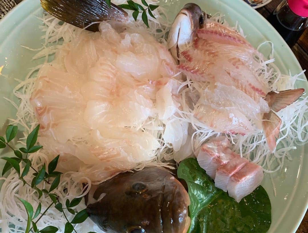 大田由香梨さんのインスタグラム写真 - (大田由香梨Instagram)「猫島で有名な真鍋島🌴出身のJiroちゃんに出逢ったのは数年前🐈  やっと念願の真鍋島に行くことができました ☺️🙏🏻 新鮮な海の幸を「漁火」でお腹いっぱい食べて(こちらの料理の量が半端ない☝🏻🤣) 近所を散歩して、Jiroちゃんが通った学校にも行き♡ 猫が至る所にいるので、写真を撮りまくる🐈🐈🐈🐈🐈 なんてのどかな週末でしょう✨ とっても静かで幸せな時間♡  #NYから帰ってきた翌日 #ねこじま #真鍋島 #Manabeshima ＃パパが獲ったワタリガニ」9月16日 13時25分 - otayukari
