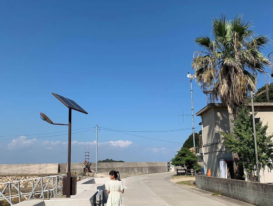 大田由香梨さんのインスタグラム写真 - (大田由香梨Instagram)「猫島で有名な真鍋島🌴出身のJiroちゃんに出逢ったのは数年前🐈  やっと念願の真鍋島に行くことができました ☺️🙏🏻 新鮮な海の幸を「漁火」でお腹いっぱい食べて(こちらの料理の量が半端ない☝🏻🤣) 近所を散歩して、Jiroちゃんが通った学校にも行き♡ 猫が至る所にいるので、写真を撮りまくる🐈🐈🐈🐈🐈 なんてのどかな週末でしょう✨ とっても静かで幸せな時間♡  #NYから帰ってきた翌日 #ねこじま #真鍋島 #Manabeshima ＃パパが獲ったワタリガニ」9月16日 13時25分 - otayukari