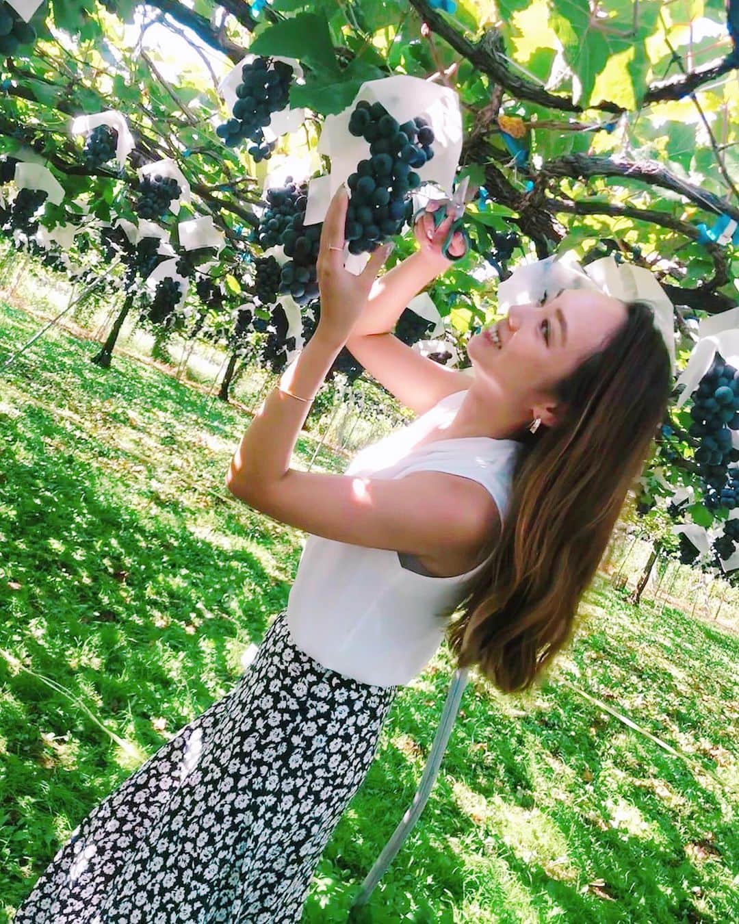 石田美奈子のインスタグラム：「𝕋𝕣𝕚𝕡. . #山梨 へ。 #笛吹ワイン のワイン作り体験🍷 ぶどうを収穫して食べて、ぶどうを足踏みしてジュースを作って、ラベルを作って☺︎ 試飲もたくさんして☺︎ ワイン好きだから行くの楽しみにしていました✨ 楽しかった♫ . からの、ほうとう食べに行って#富士急ハイランド 🎢 盛りだくさんの弾丸1day trip満喫✨ . ✈️ → #minako_trip . #trip #wine #winelover #国内旅行 #女子旅」