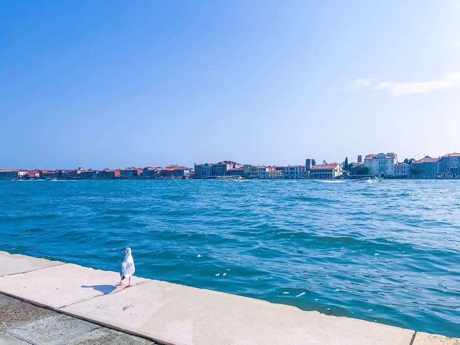 大矢真夕さんのインスタグラム写真 - (大矢真夕Instagram)「#bathing in the sun🌞 この海岸はホテルからすぐで、よくお散歩した😊  #😍 #venezia #🇮🇹 #travel #sea  #sunny #italia #beautiful #fashion #picture #cool  #wonderful_places #snapshot #タビジョ #lifeisbeautiful #photooftheday #igersveneto #veneziaunica #beach #旅行 #旅 #海 #ヴェネツィア #イタリア #旅したくなるフォト #venice #ベニス #ベネチア #海外旅行」9月16日 14時32分 - mayuohya