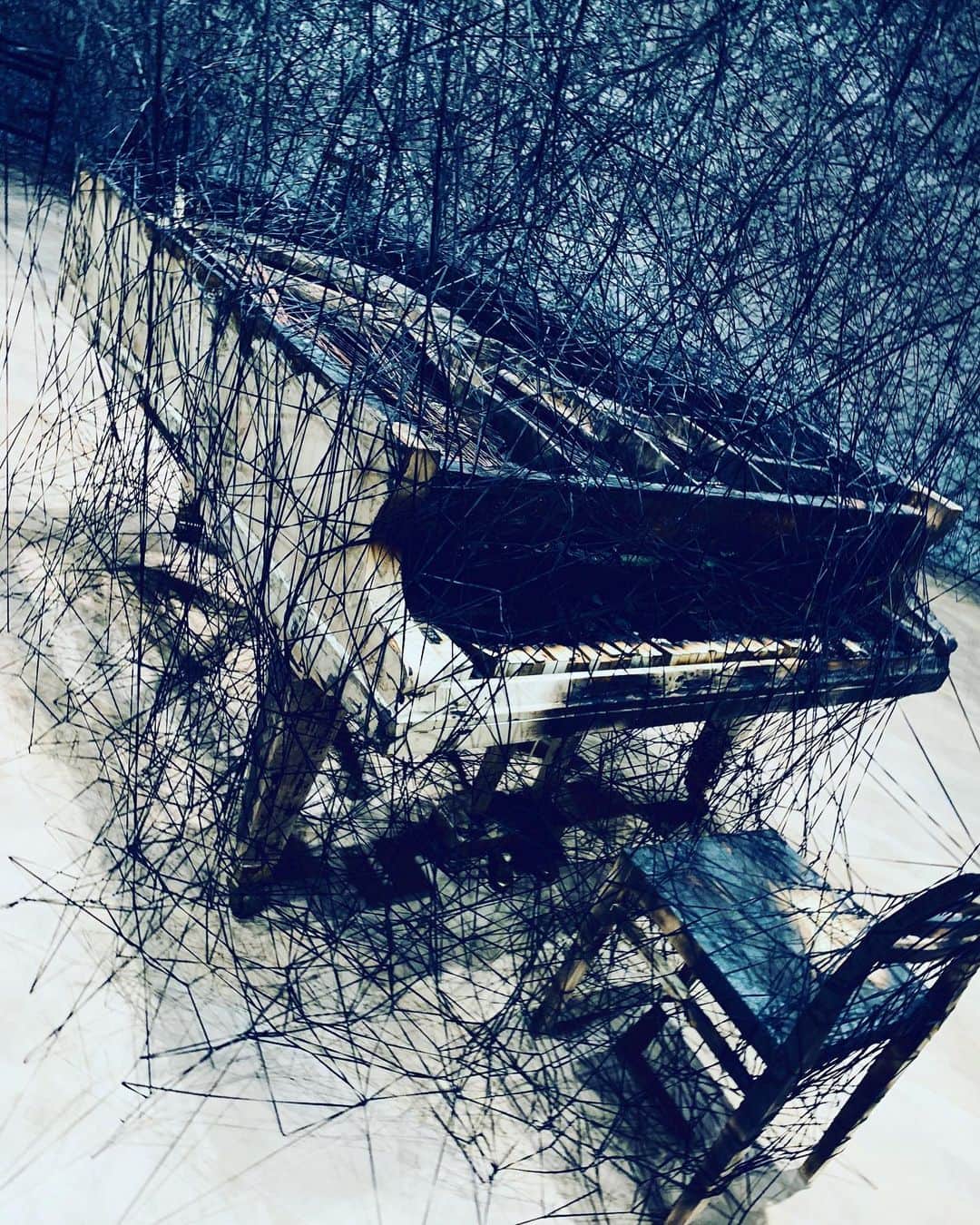 YASTIN さんのインスタグラム写真 - (YASTIN Instagram)「黒の世界 #塩田千春展魂がふるえる ・ ・ ・ #塩田千春  #魂がふるえる  #糸  #黒  #森美術館  #chiharushiota #moriartmuseum  #六本木ヒルズ  #ファインダー越しの私の世界  #世界観」9月16日 14時33分 - yastin0109