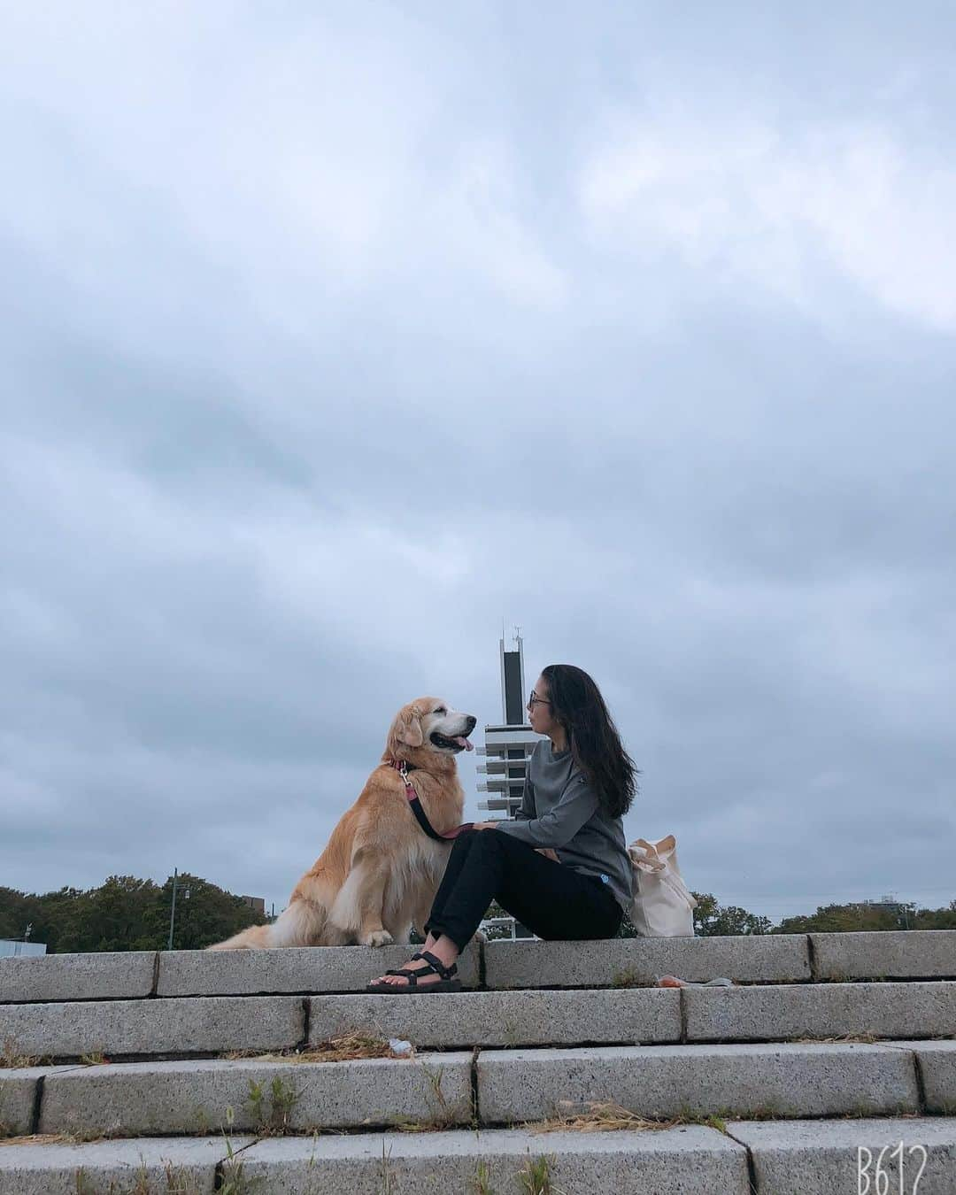 高橋ひとみさんのインスタグラム写真 - (高橋ひとみInstagram)「雨上がりのお散歩🎵 #goldenretriever #retrieveroftheday #goldenretrieverlover」9月16日 15時22分 - hitomi_momoe