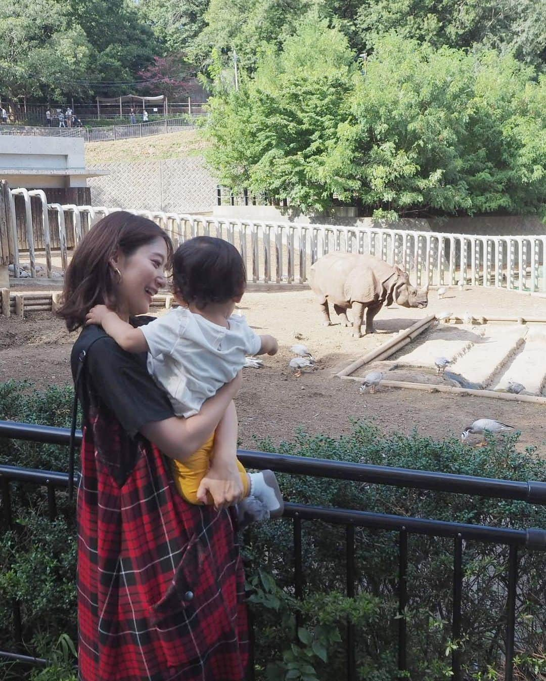 吉田明世さんのインスタグラム写真 - (吉田明世Instagram)「今日は敬老の日☻ 朝から岡山のおじいちゃんおばあちゃんとテレビ電話をしたり 東京の施設にいる2人のおばあちゃんに会いに行ってきました😊  昨日は家族で多摩動物公園へ。 いつも絵本で見ている動物の動く姿に大興奮の娘。 なにやら一生懸命伝えてくれていましたが、娘語なのでまだ分からず。翻訳機が欲しいです😂  外を歩くときは絶対に手を繋ぐようにしていますが、公園内の安全な場所では、楽しそうに走り回っていました😊  動物園楽しかったなぁ🐘🦒🦏🦘🐅🐆 #敬老の日 #多摩動物公園 #小学校の遠足以来 #想像以上に広かった #いい運動になりました👟」9月16日 15時33分 - akiyo0414