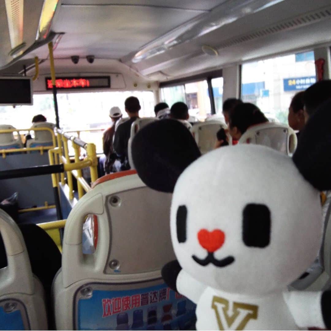 テレ朝newsさんのインスタグラム写真 - (テレ朝newsInstagram)「ゴーちゃん。路線バスに乗って"中国の中のロシア"を見に行くことにしました。運賃はほとんどのバスで1元(約15円)。ゴーちゃん。が乗っている2階建てバスは2元です。交通カードもありますが、現金でＯＫです。 #冒険ゴーちゃん。#テレビ朝日 #テレ朝 #news #六本木 #japan #テレビ #テレビが好きな人と繋がりたい #写真 #写真好きな人と繋がりたい #photography #nofilter #ゴーちゃん #ごーちゃん #panda #おでかけ #ハルビン #中国 #中国の中のロシア」9月16日 15時41分 - tv_asahi_news