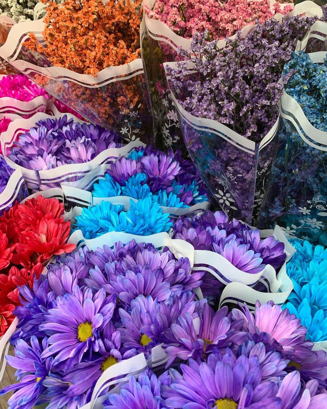 のインスタグラム：「うそみたい？🙄ほんとらしい？😳 どちらの姿も好きよ〜 You are yoU . . .  #hopeful #nyc#newyork  #Flowermarket #flowermarketnyc」