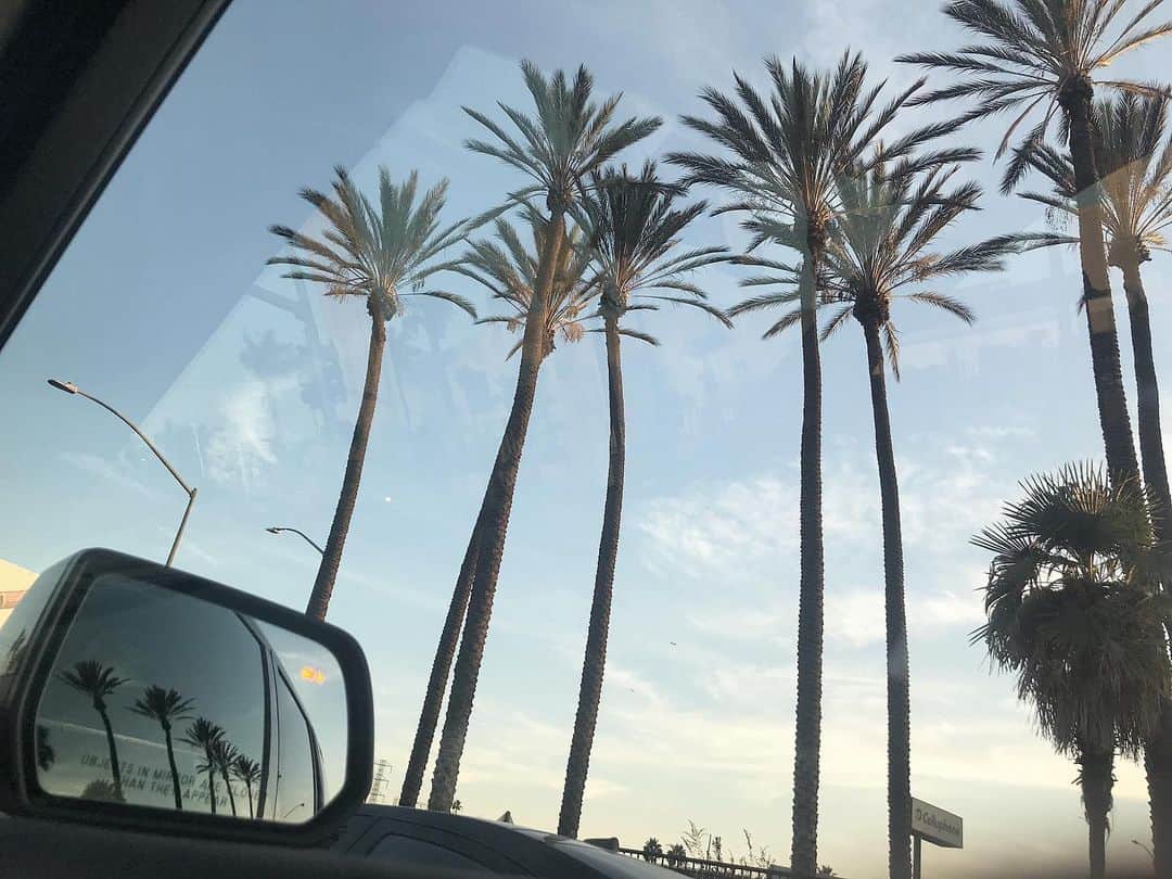 のインスタグラム：「🌴💗 滅多にできない貴重な体験、たくさんしてきました。 かきたいこと、伝えたいことすごくたくさんあるけれどもぅ少しまってね🥺🙏 もぅすぐ日本に帰ります☺️❤️」