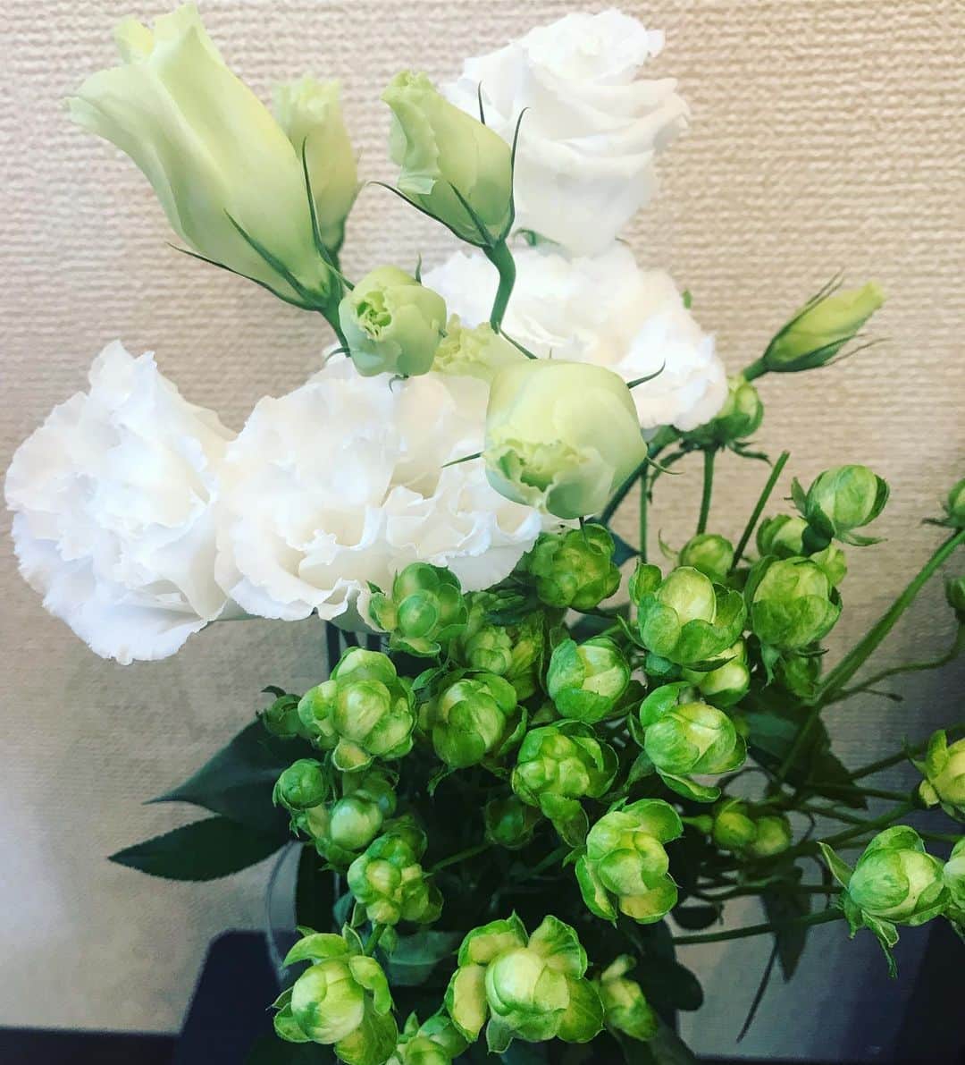 坂詰美紗子さんのインスタグラム写真 - (坂詰美紗子Instagram)「生憎のお天気で写真さえもグズグズ。小さなバラが可愛くて。咲くといいなー。咲いてよー。咲いて咲いてー。咲いてってばー。という願いを込めて。 ・ ・ ・ #flowers #薔薇  #ホワイト #気分はグリーン #願い #叶うでしょうか #カモン強運」9月16日 17時01分 - misako_sakazume