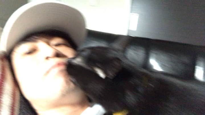のインスタグラム：「痛い痛い痛い、、、 #クロマティ君 #顔面舐め #猫 #にゃんこ」