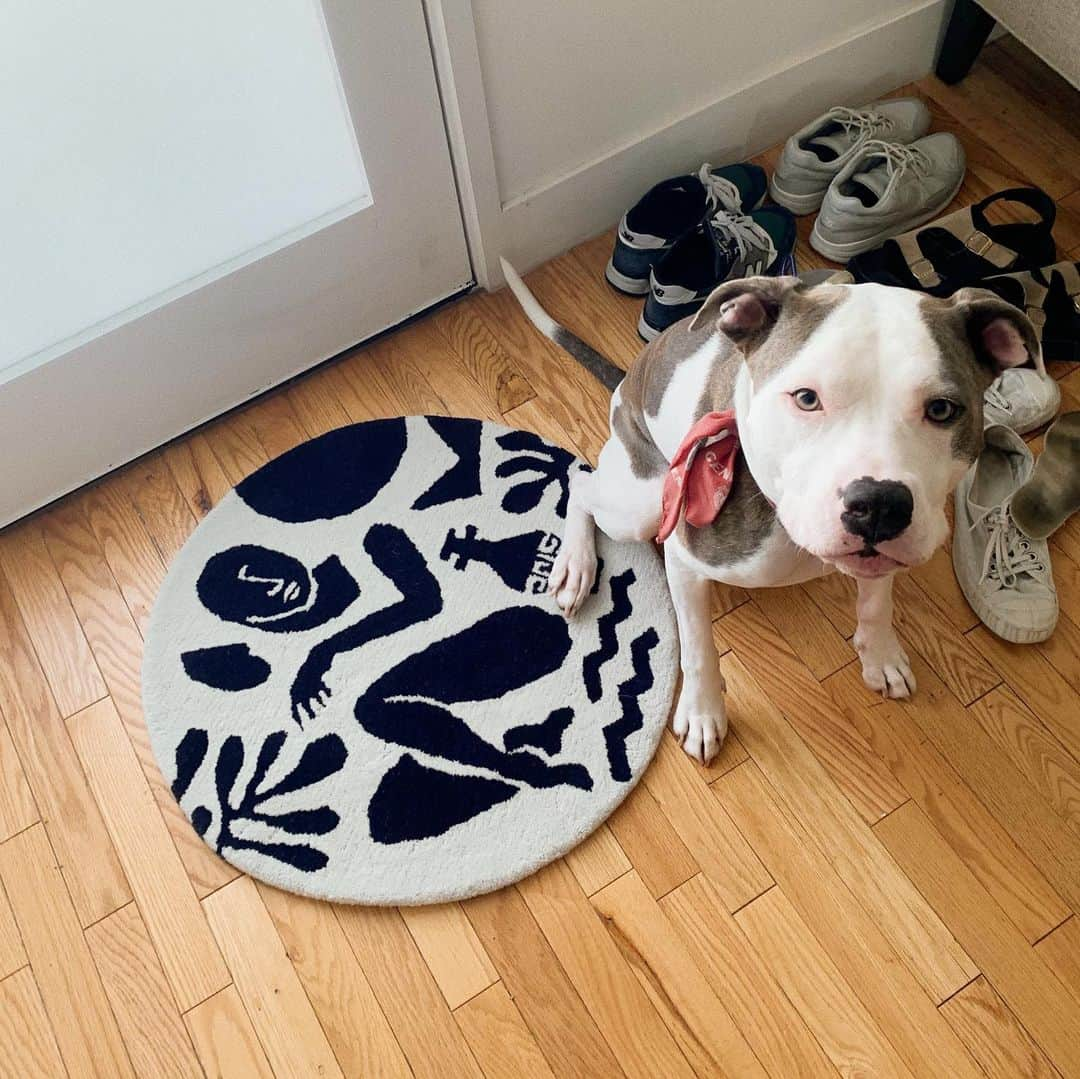 KEISUKE SYODAさんのインスタグラム写真 - (KEISUKE SYODAInstagram)「🐶🚪💙 He got comfortable with Greek motifs doormat . #doormat #greek #dog #losangeles  #rug」9月17日 3時18分 - keisukesyoda