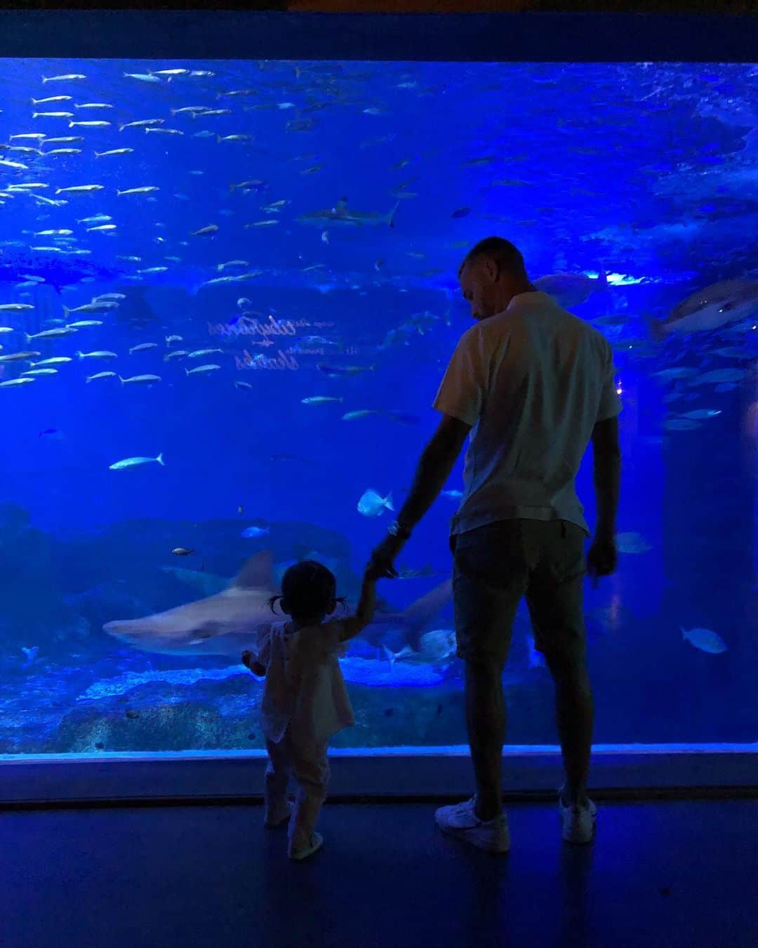 セルヒオ・カナレスのインスタグラム：「Viniste a ser feliz, no te distraigas 😍🐟👧🏽🤷‍♂️!! #littleindia」