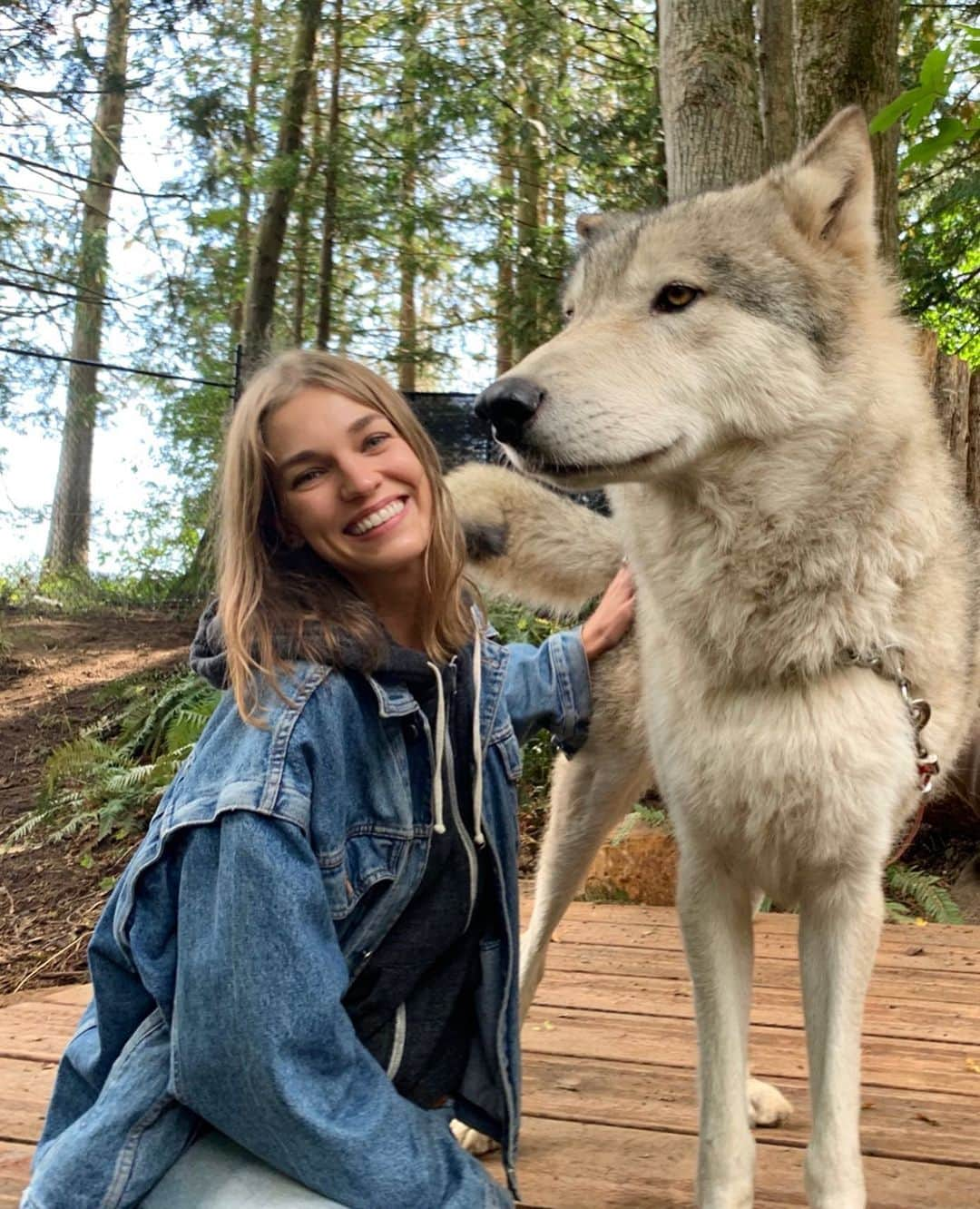 サマンサ・グラドヴィルさんのインスタグラム写真 - (サマンサ・グラドヴィルInstagram)「Found my #wolfpack! 🐺 So happy to spend the day hanging out with this lovely girl, Kakoa and the rest of the wolves at #predatorsoftheheart Thank you for all the work you do in protecting these wild animals and the many more you house in your sanctuary 🙏 If anyone is in the PNW, I highly recommend paying them a visit and getting some wolf smooches ♥️ #wildlifeconservation #animalsanctuary #danceswithwolves #spiritanimal  #wolfencounter」9月17日 4時07分 - samgradoville