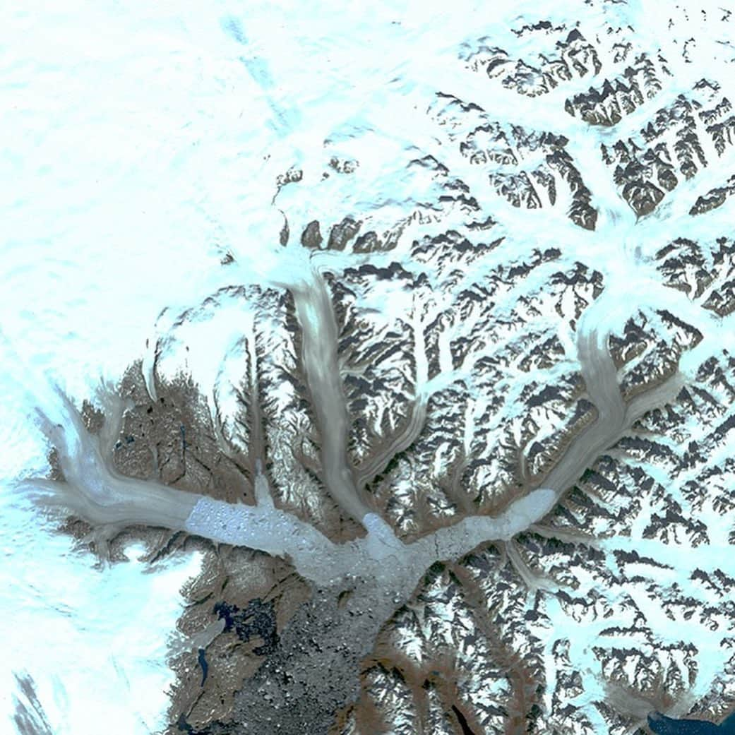 NASAさんのインスタグラム写真 - (NASAInstagram)「❄️Glaciers in southeast Greenland are changing rapidly.  My name is Christopher Shuman and I study ice and glaciers for NASA, here at Goddard’s Cryospheric Sciences Laboratory. I wanted to tell you about these breathtaking images from our Landsat satellites.  This image is a powerful visualization of nearly five decades of change to the ice sheet in this part of East Greenland.  Not only can you clearly see the significant retreat of the calving fronts of several glaciers, you can also see the increased darker color of the ice as major melt events remove snow and compacted snow called firn to reveal bare ice across the ice sheet's edge. There’s a lot more bare rock visible now, which used to be covered with ice.  All these little glaciers are all getting slammed, as well as the bigger ones like Helheim, Fenris and Midgard. There are scores of examples of change just in this one area.  #nasa #ice #glacier #science」9月17日 4時15分 - nasagoddard