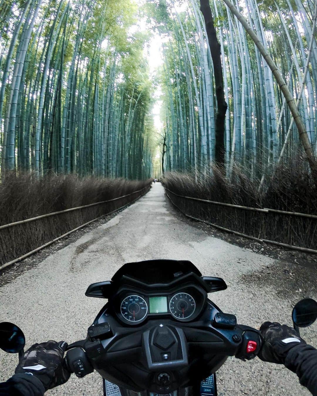 GoProさんのインスタグラム写真 - (GoProInstagram)「竹藪 x バイク、日本の自然とテクノロジーのコラボ 🏍🎋 📷 @knuckle_head ・ ・ ・ #GoPro #GoProJP #GoProのある生活 #バイク #嵐山 #竹 #竹藪 #Arashiyama #Bamboo」9月16日 19時44分 - goprojp