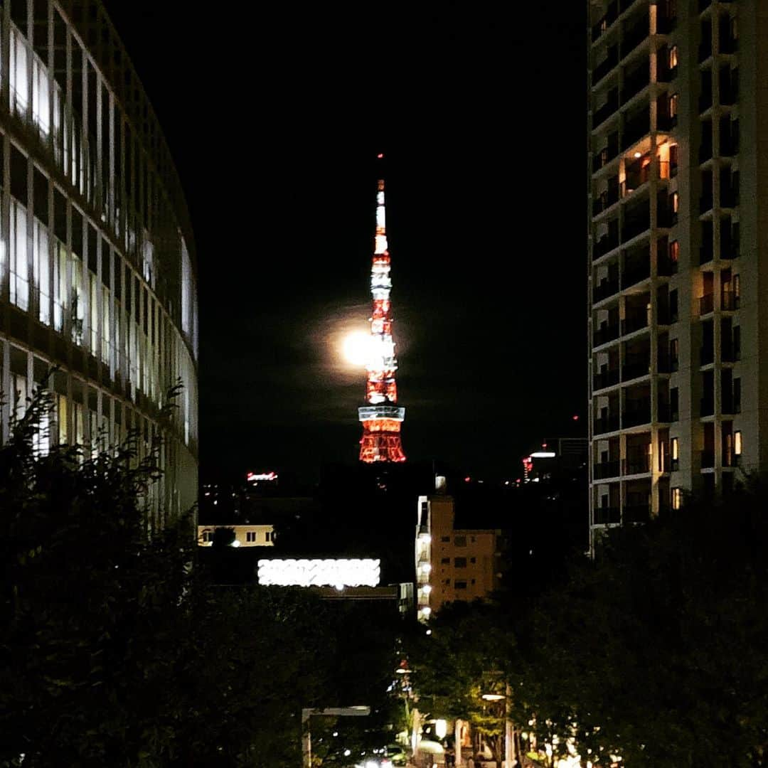 野宮真貴さんのインスタグラム写真 - (野宮真貴Instagram)「東京は夜の七時♪ ただいま東京！やっぱり嘘みたいに輝く街✨ #東京は夜の七時 #嘘みたいに輝く街 #🌖と🗼 #野宮真貴 #missmakinomiya」9月16日 20時03分 - missmakinomiya