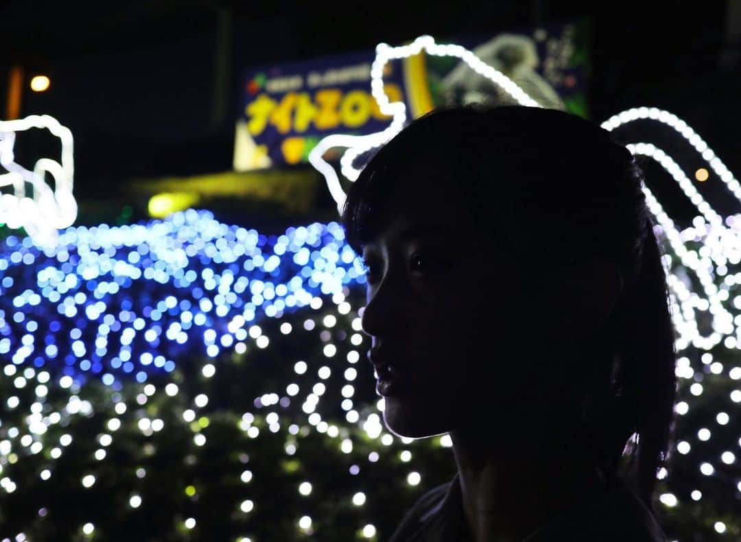 歌田初夏さんのインスタグラム写真 - (歌田初夏Instagram)「夜の動物園🐘  最近  イケメンゴリラ🦍  で賑わっている ＃東山動物園 が期間限定でナイトZOOをやっていたのでレッスンの合間の少し空いたところで愛知に帰り動物園に。  夜の動物園は正直暗くて何も見えなかった。  写真の自分さえ誰なのかわからない。  ただ家族で動物園を歩くのが久しぶりで楽しかったな #夜の動物園 #イルミネーション #動物園 #歌田写真展」9月16日 20時05分 - utahatsu78