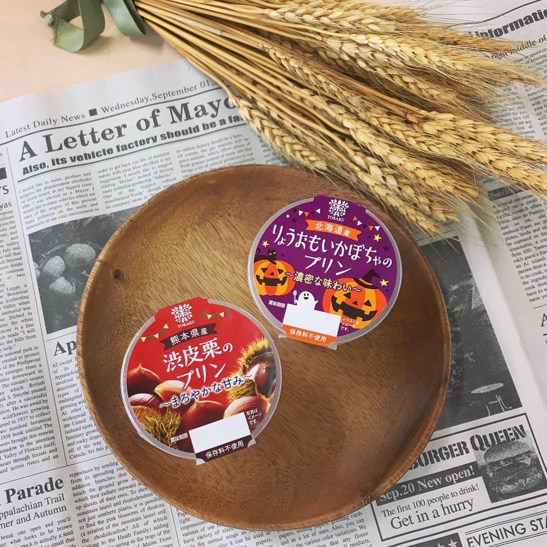 トーラク株式会社のインスタグラム：「. かぼちゃプリンと栗プリン。 スイーツで秋を感じる🍁 . . ◉カップマルシェ 北海道産りょうおもいかぼちゃのプリン. ◉カップマルシェ 熊本県産渋皮栗のプリン. 135円（税別） . #トーラク #TORAKU #神戸プリン #プリン #プリン好き #プリンマニア #コンビニスイーツ #コンビニ #スイーツ #スイーツ好き #PUDDING #PUDDINGPARTY #SWEETS⠀#おやつタイム #置き画 #置き画くら部 #ハロウィン #栗 #栗プリン #マロンプリン #熊本県産渋皮栗 #渋皮栗 #北海道産りょうおもいかぼちゃ #りょうおもいかぼちゃ #プリン好きな人と繋がりたい」