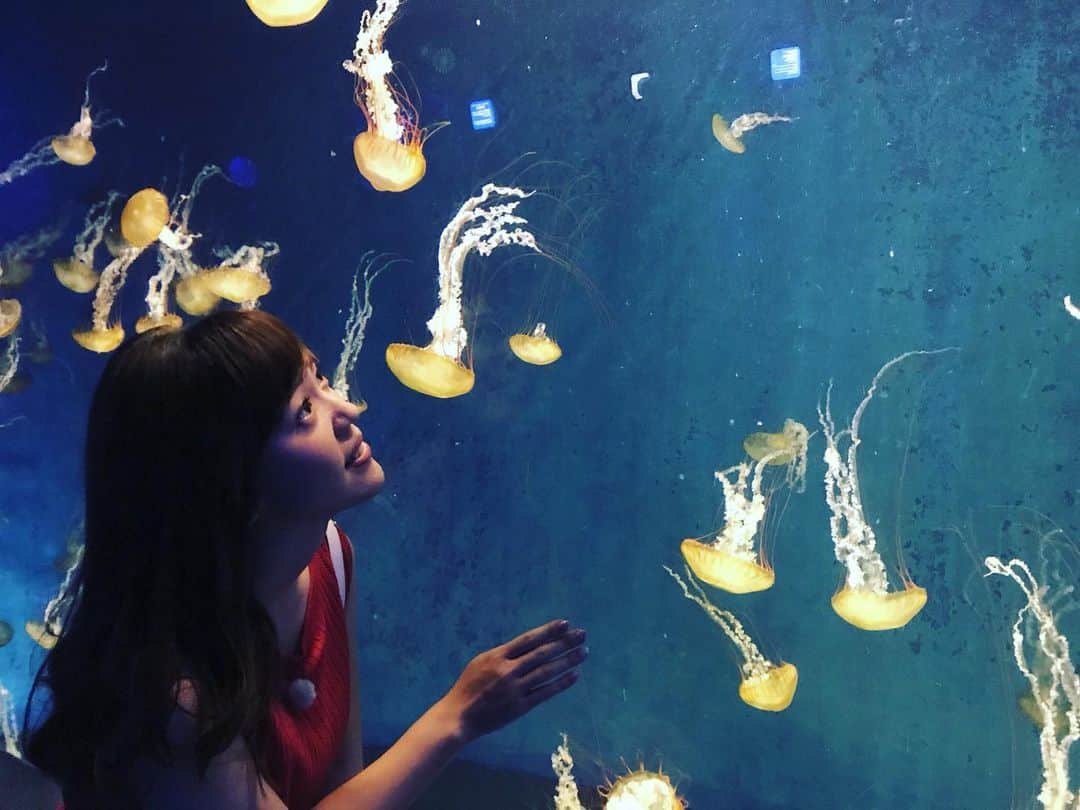 石橋美希さんのインスタグラム写真 - (石橋美希Instagram)「今週のE5いい旅は 新江ノ島水族館 通称「えのすい」🐠 クラゲの展示やイルカショーなど いまや水族館になくてはならない アイデアの先駆けをしてきた水族館です🐬✨ 一足入れば、そこはまるでファンタジーのような世界が… 世界発！江の島名物の○○の展示もみどころです👀🌟 #えのすい #新江ノ島水族館 #気分はマーメイド #イルカショー #クラゲに癒された #映える #E5いい旅 #今夜10時49分 #めんこいテレビ #アナウンサー #石橋美希 #youtubeもみてね」9月16日 20時59分 - miki_ishibashi_mit