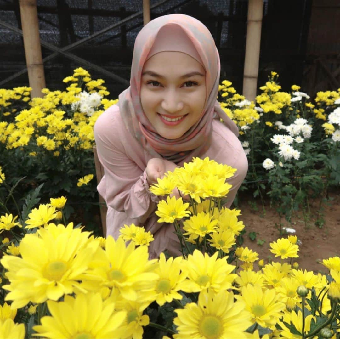 メロディー・ヌランダニ・ラクサニさんのインスタグラム写真 - (メロディー・ヌランダニ・ラクサニInstagram)「Blooming (yellow) chrysanthemum💛  #bunga #krisan #flower #chrysanthemum #tea」9月16日 21時16分 - melodylaksani92