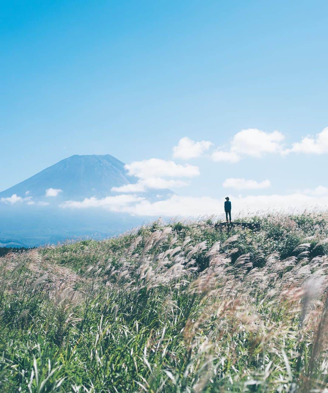 sorayuchiのインスタグラム：「Mount FUJI🗻 ・ 富士山撮りにゆる〜い撮影合宿してきました☺︎ 会いたい人たちに会えて、おしゃれBBQして、SUPして、温泉入って、富士山撮って、ほんっと最高でした✨(*´꒳`*) ソラマメ🐕もみんなと一緒に遊んでもらえて嬉しかったなぁ📷 ・ Thank you for @_hikari_____ @johnny777 @tak_tag @6151 @wacamera @shinichillout54 @fuka_09 @soraky」