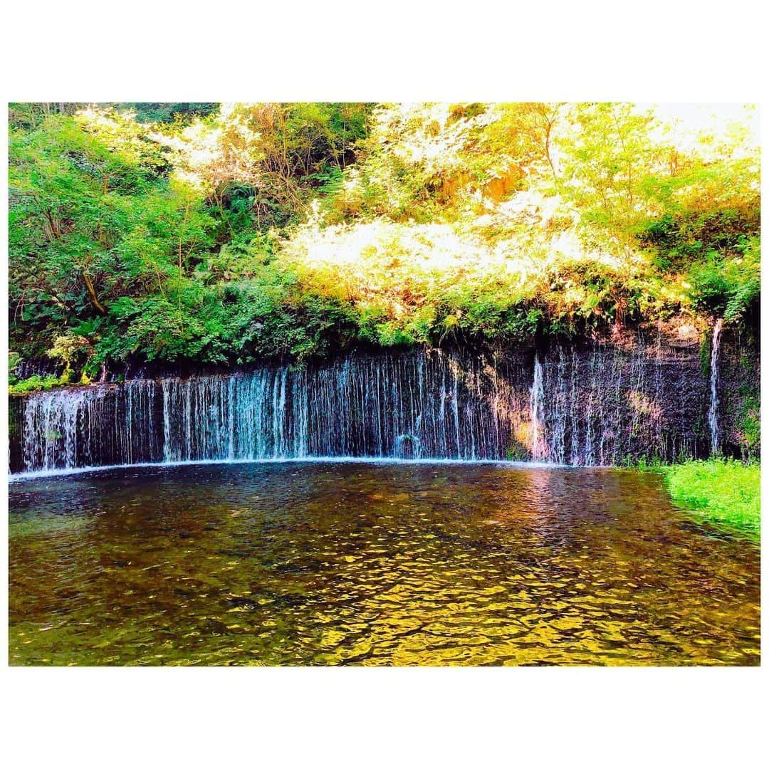 小川麻衣子さんのインスタグラム写真 - (小川麻衣子Instagram)「♪ . バス旅🚌in 長野🍇🍁 相方さんと1泊2日の旅行に行ってきました☺️ バス旅は前からお父さんと良く日帰りで行ってたけど、今回泊まりでは初でした！ 直前までどうするか全く決まってなかったけど、無事に決まって行けてよかった✨ . とりあえず気候が良くて空気がとてもキレイで癒されたよー😃 . 次はどこ行こうかね😆 とりあえずはよー手術して元気になってくださいよ🙄 . #トレーニング女子 #筋肉美 #筋肉女子 #腹筋女子 #筋トレ女子 #30代女子 #ストイック女子 #ボディメイク #フィットネスライフ #フィットネスガール #モデル #ワークアウト #workout #トレーニング #training #fitness #fitnessgirl #ootd」9月16日 22時08分 - maiko_ogawa