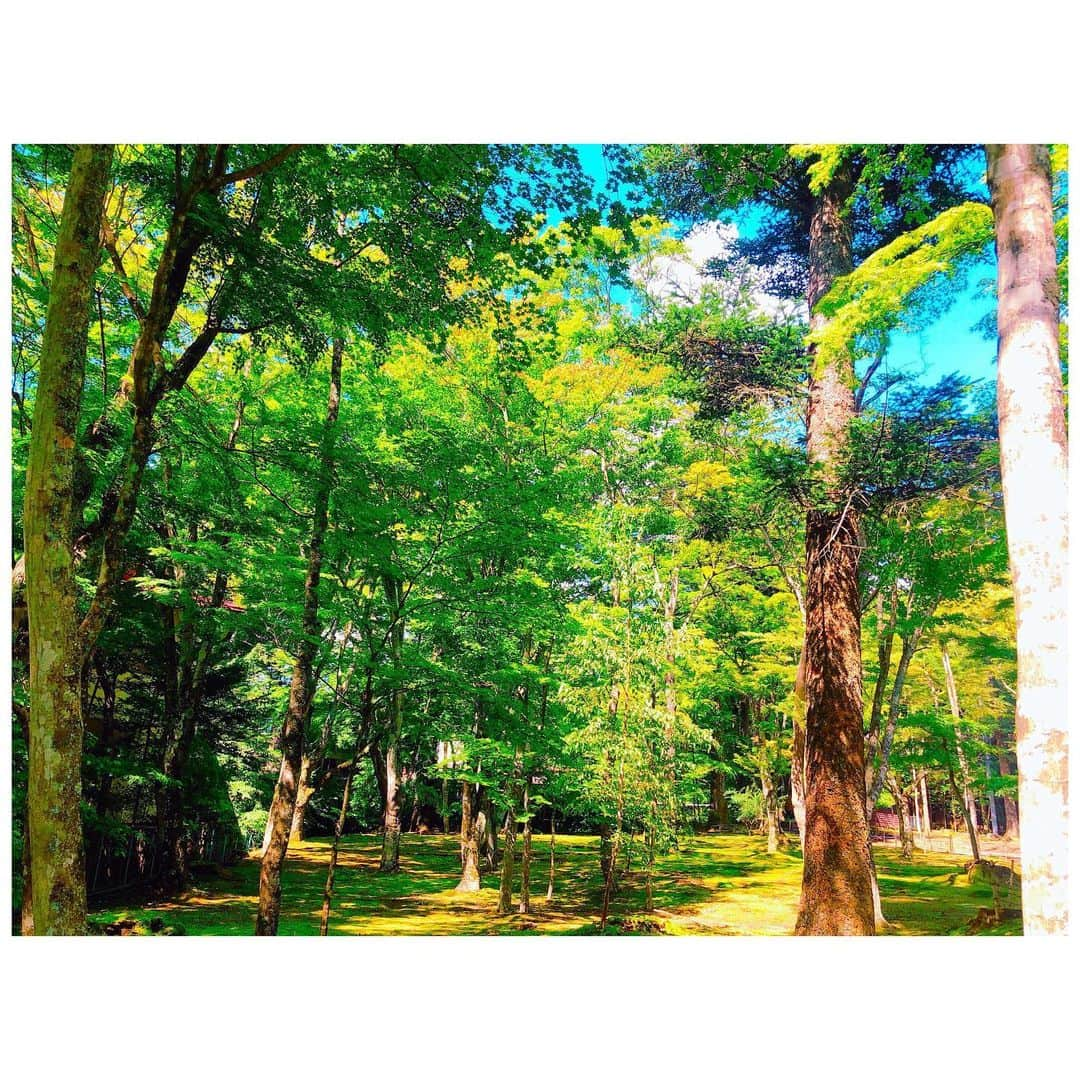 小川麻衣子さんのインスタグラム写真 - (小川麻衣子Instagram)「♪ . バス旅🚌in 長野🍇🍁 相方さんと1泊2日の旅行に行ってきました☺️ バス旅は前からお父さんと良く日帰りで行ってたけど、今回泊まりでは初でした！ 直前までどうするか全く決まってなかったけど、無事に決まって行けてよかった✨ . とりあえず気候が良くて空気がとてもキレイで癒されたよー😃 . 次はどこ行こうかね😆 とりあえずはよー手術して元気になってくださいよ🙄 . #トレーニング女子 #筋肉美 #筋肉女子 #腹筋女子 #筋トレ女子 #30代女子 #ストイック女子 #ボディメイク #フィットネスライフ #フィットネスガール #モデル #ワークアウト #workout #トレーニング #training #fitness #fitnessgirl #ootd」9月16日 22時08分 - maiko_ogawa