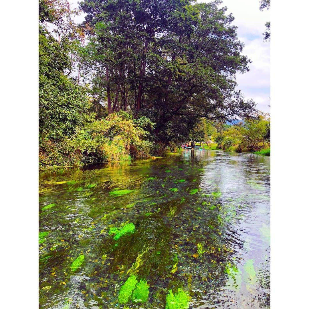 小川麻衣子さんのインスタグラム写真 - (小川麻衣子Instagram)「♪ . バス旅🚌in 長野🍇🍁 相方さんと1泊2日の旅行に行ってきました☺️ バス旅は前からお父さんと良く日帰りで行ってたけど、今回泊まりでは初でした！ 直前までどうするか全く決まってなかったけど、無事に決まって行けてよかった✨ . とりあえず気候が良くて空気がとてもキレイで癒されたよー😃 . 次はどこ行こうかね😆 とりあえずはよー手術して元気になってくださいよ🙄 . #トレーニング女子 #筋肉美 #筋肉女子 #腹筋女子 #筋トレ女子 #30代女子 #ストイック女子 #ボディメイク #フィットネスライフ #フィットネスガール #モデル #ワークアウト #workout #トレーニング #training #fitness #fitnessgirl #ootd」9月16日 22時08分 - maiko_ogawa