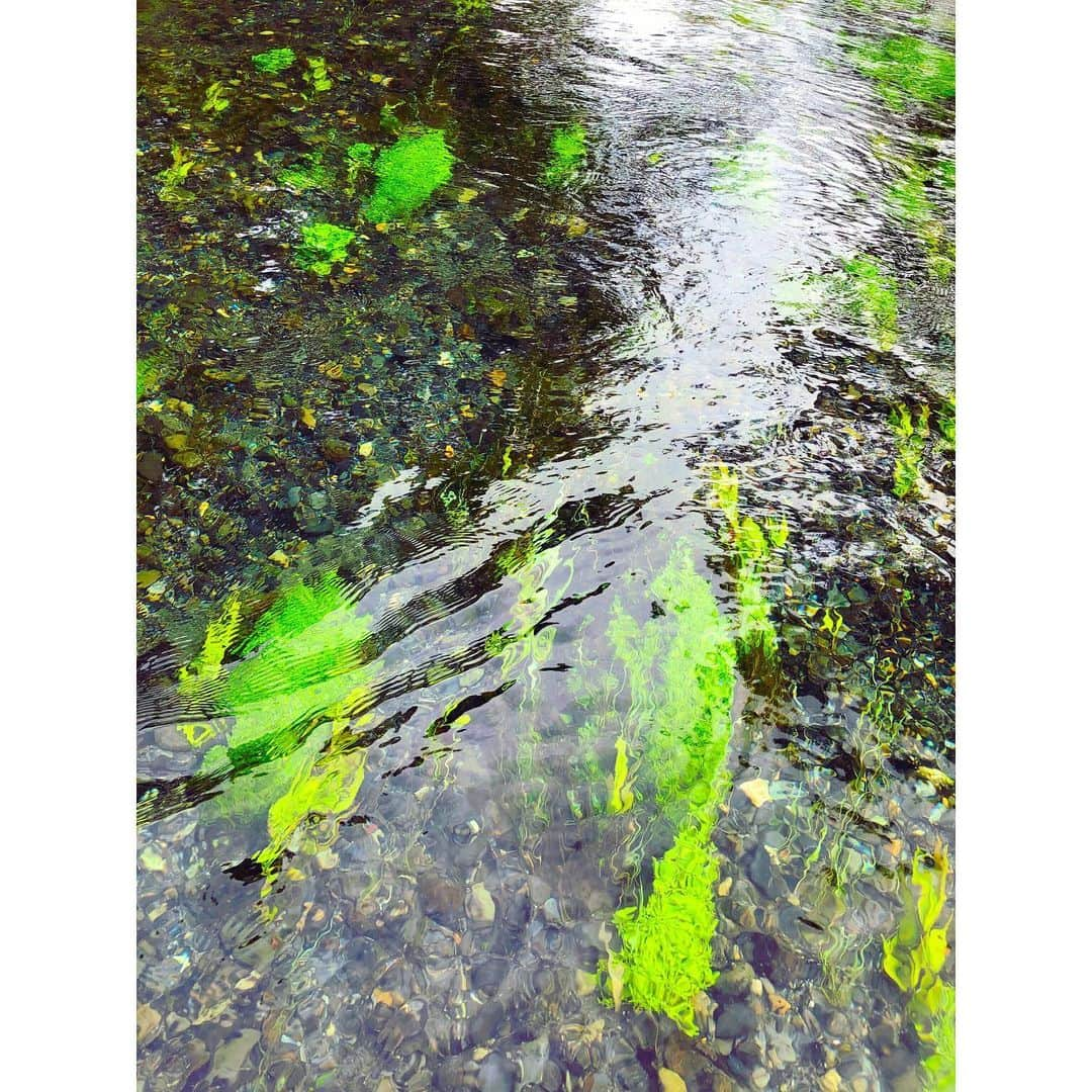 小川麻衣子さんのインスタグラム写真 - (小川麻衣子Instagram)「♪ . バス旅🚌in 長野🍇🍁 相方さんと1泊2日の旅行に行ってきました☺️ バス旅は前からお父さんと良く日帰りで行ってたけど、今回泊まりでは初でした！ 直前までどうするか全く決まってなかったけど、無事に決まって行けてよかった✨ . とりあえず気候が良くて空気がとてもキレイで癒されたよー😃 . 次はどこ行こうかね😆 とりあえずはよー手術して元気になってくださいよ🙄 . #トレーニング女子 #筋肉美 #筋肉女子 #腹筋女子 #筋トレ女子 #30代女子 #ストイック女子 #ボディメイク #フィットネスライフ #フィットネスガール #モデル #ワークアウト #workout #トレーニング #training #fitness #fitnessgirl #ootd」9月16日 22時08分 - maiko_ogawa