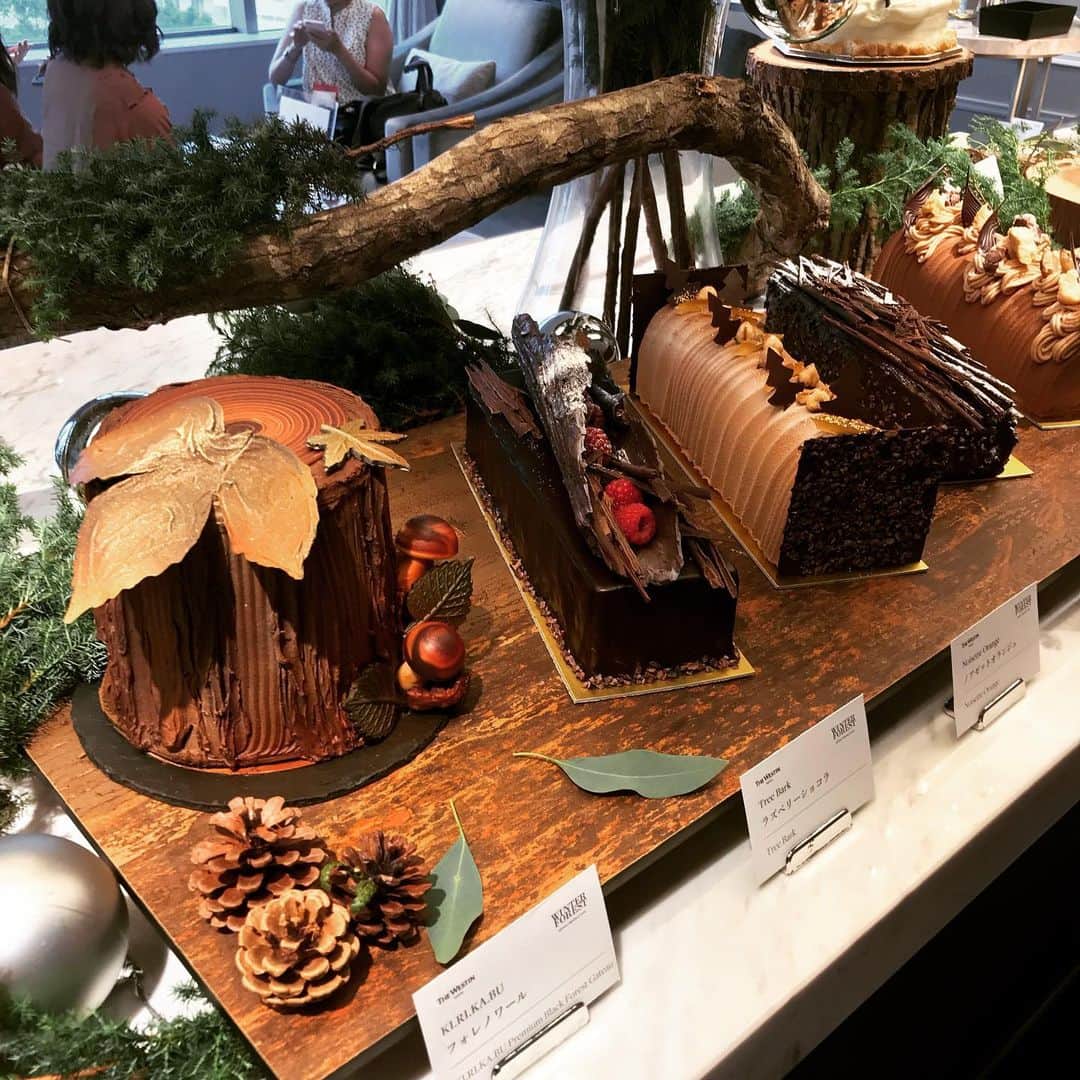 GLAM JAPANのインスタグラム：「10月に25周年を迎えるウェスティンホテル東京のクリスマスケーキが11月1日より予約開始🎄🎂 . 今年は「ウィンターフォレスト」をテーマに、聖夜を華やかに彩る全11種類のケーキがラインナップ✨ 丸太や切り株をイメージした数量限定のチョコレートケーキなど、シックで味わい豊かなケーキを中心に多彩なバリエーションで展開🎅 . 今年のクリスマスはちょっぴりオトナな雰囲気のケーキはいかが？ . #ウェスティンホテル東京 #ウェスティンクリスマス2019 #ウィンターフォレスト #クリスマスケーキ」
