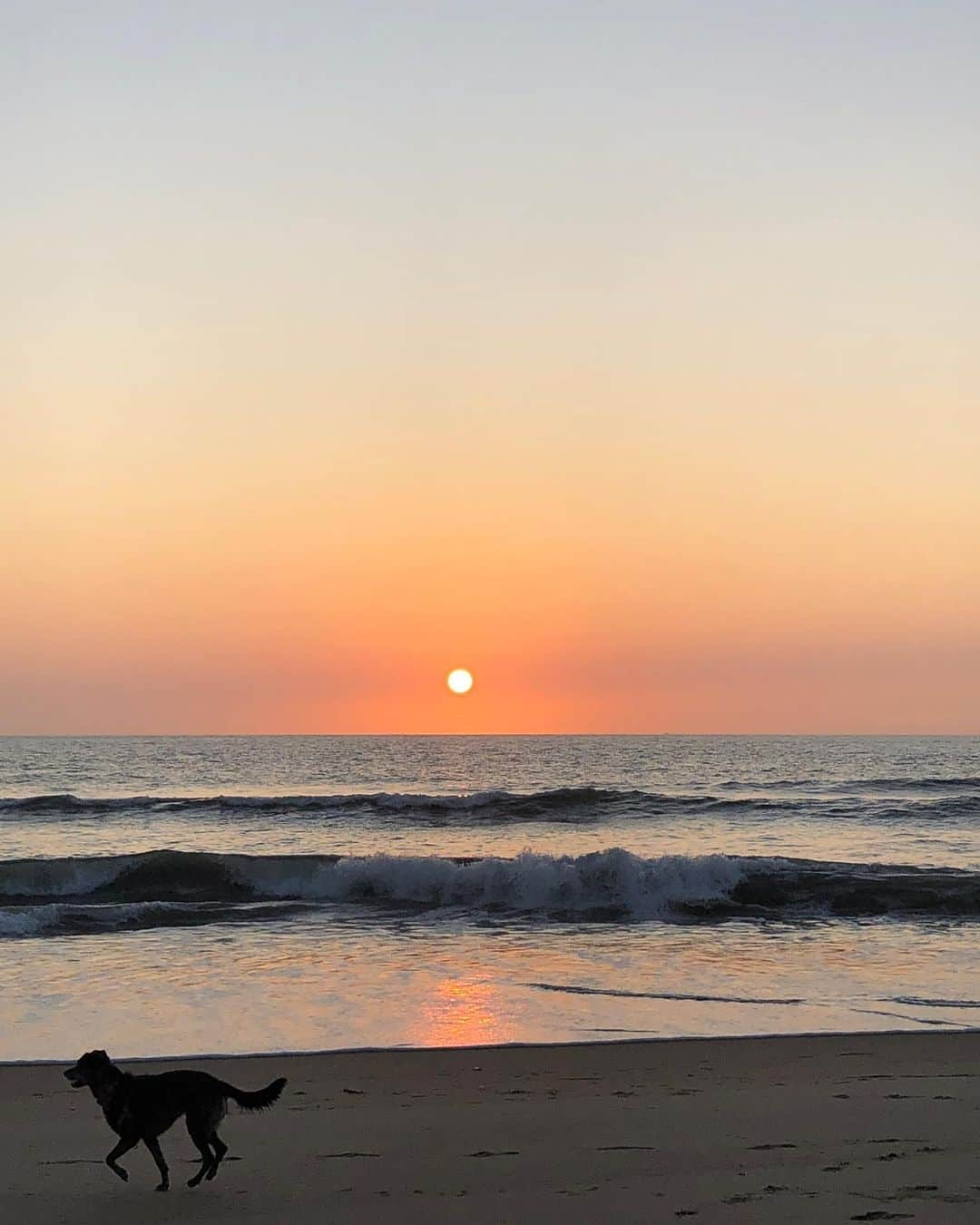Grace Bonneyのインスタグラム：「Tomorrow is our last full day here and I am soaking up every second. The ocean has such a power to heal and calm and starting the day here every morning with @turshen and the dogs has been such a joy. Lots of breathing, biking, smiling, and sandy shoes 💛」