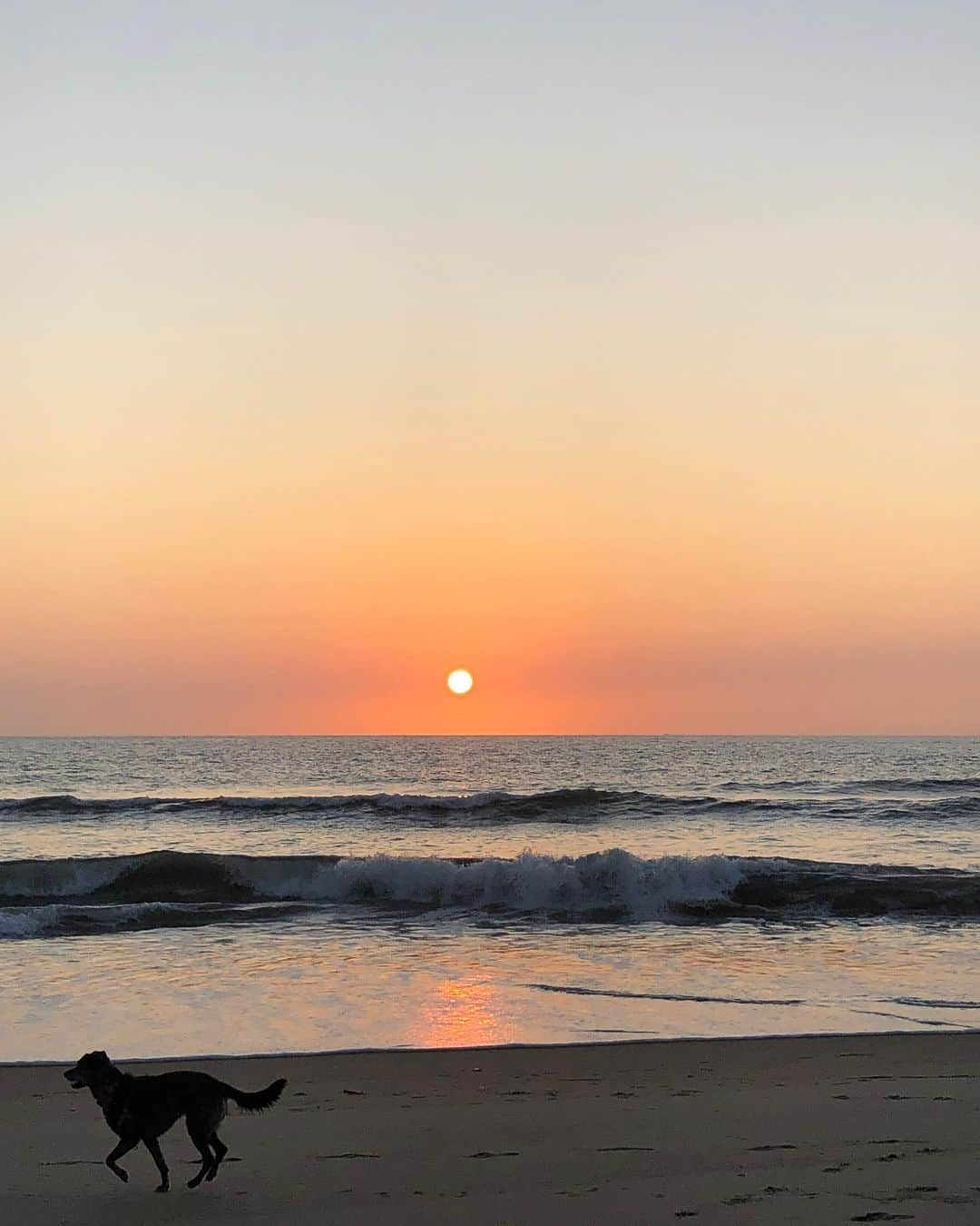 Grace Bonneyさんのインスタグラム写真 - (Grace BonneyInstagram)「Tomorrow is our last full day here and I am soaking up every second. The ocean has such a power to heal and calm and starting the day here every morning with @turshen and the dogs has been such a joy. Lots of breathing, biking, smiling, and sandy shoes 💛」9月16日 22時58分 - designsponge