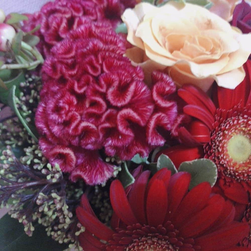 深井ねがいさんのインスタグラム写真 - (深井ねがいInstagram)「サガミ様から頂いたお花🥀 私が好きな薔薇や赤色のお花が沢山で幸せ！ １回目の収録の時も頂いて 本当に感謝しています！ #サガミ #話食推しメン処サガミ」9月16日 23時17分 - negai0116