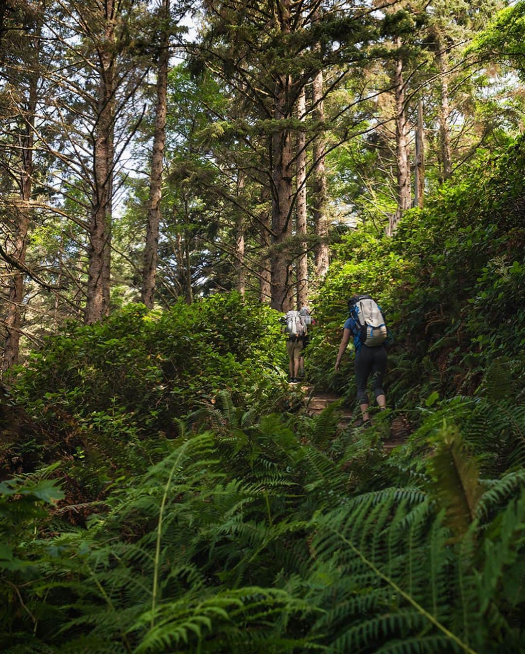 エディー・バウアーさんのインスタグラム写真 - (エディー・バウアーInstagram)「Hi everyone, #ebcontributor @nickrlake here! When most people think about adventuring in the Pacific Northwest they envision mountains and valleys, rivers and glaciers.  But there’s a whole other world to explore where the Pacific Ocean meets the North American continent. So a group of friends and I took to the beach this August for a weekend on the Washington Coast at Olympic National Park’s Second Beach to discover this unique landscape. ⁣ ⁣ Since the hike to the beach is less than a mile long with minimal elevation gain, we decided to go all out on our food setup (more on that later) and include a few more luxuries than we normally would on a backpacking trip.  Once out on the beach we were treated to a beautiful afternoon exploring tidepools, watching eagles circle over the bluffs, and a stunning sunset.  Be sure to check out more from this trip on @eddiebauer stories today and be on the lookout tomorrow for the recipe for one of our favorite meals from this adventure.  #WhyIHike #liveyouradventure」9月16日 23時31分 - eddiebauer