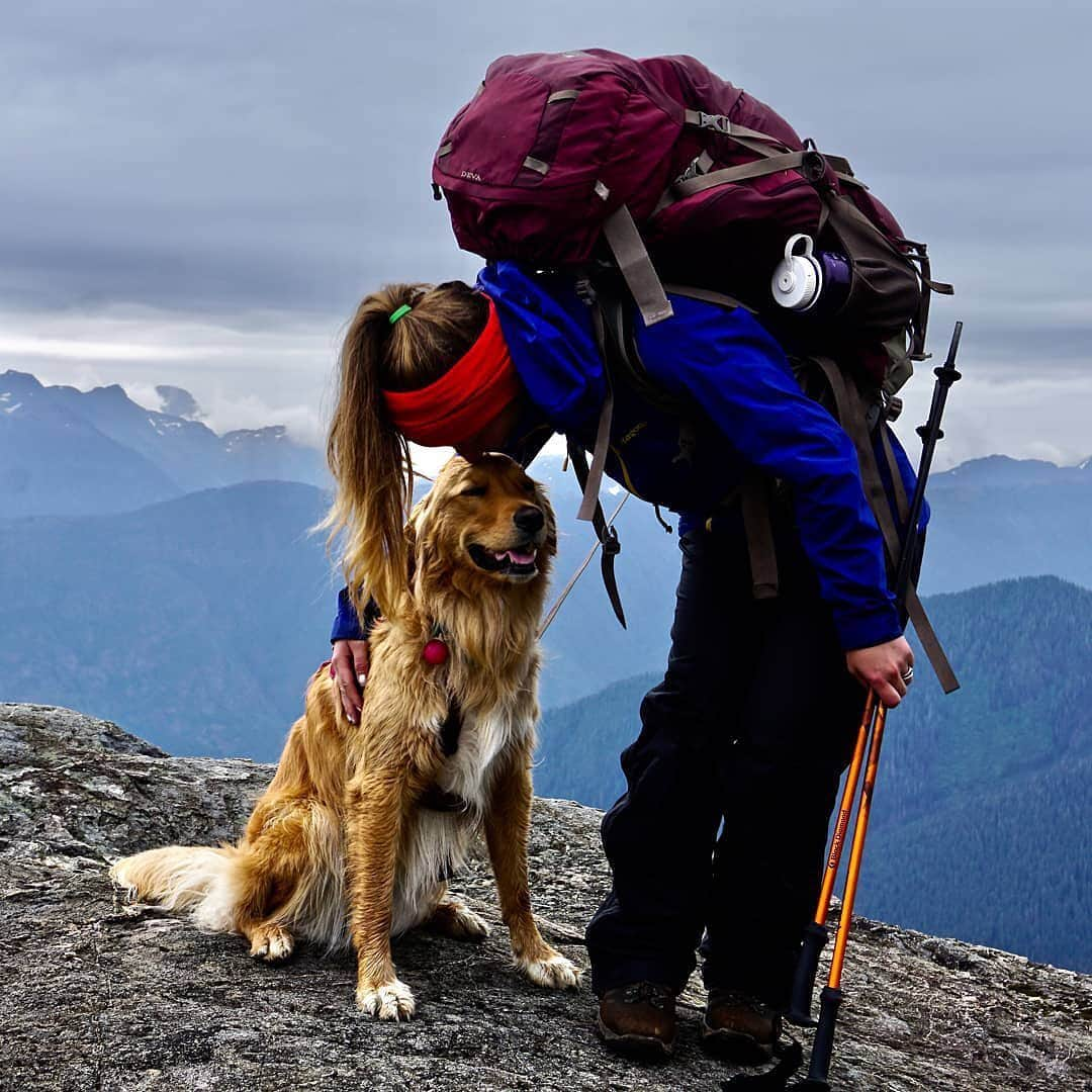 グレゴリーさんのインスタグラム写真 - (グレゴリーInstagram)「Happy Camper 🐾 cut our trek short but still caught some sweet views and my human loves me, so that’s cool. 💕✌🏽 - @nova_the_gollie #theruffoutdoors #adventuredog #pawsthatwander #dogsthathike #livelifeoffleash」9月16日 23時57分 - gregorypacks