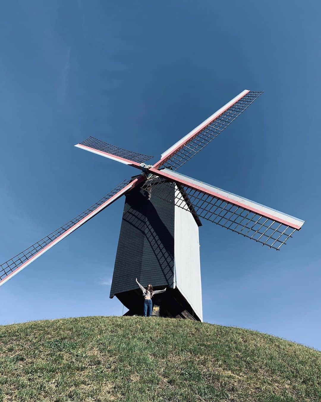 リリー・コリンズさんのインスタグラム写真 - (リリー・コリンズInstagram)「Me and my windmill, to scale...」9月17日 1時25分 - lilyjcollins