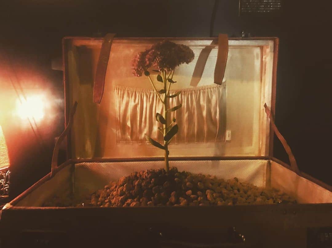 mikerr（ミカ）のグルメインスタ