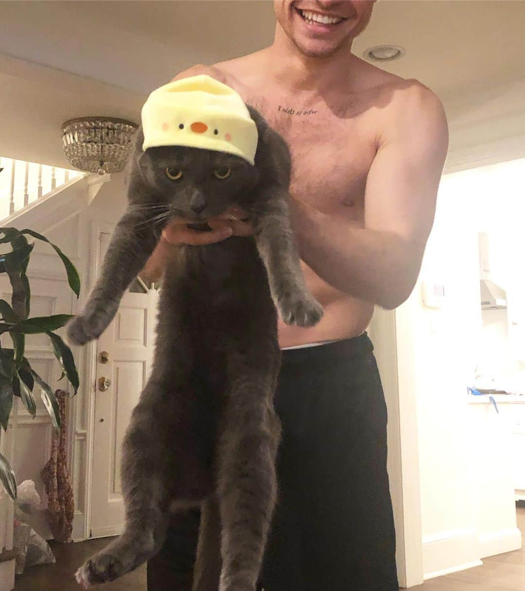 ダヴ・キャメロンさんのインスタグラム写真 - (ダヴ・キャメロンInstagram)「guess who loves his gift from japan (no you guys i did not buy thomas a cat. this is my cat of 5 years. the gift is the hat. on the cat . bye)」9月17日 5時58分 - dovecameron