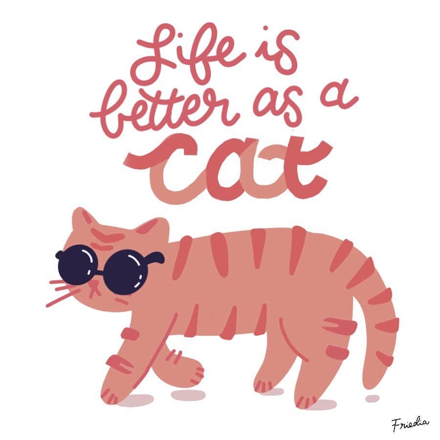 フリーディアのインスタグラム：「Sometimes do you ever wonder “man, cats got it easy!” It’s Monday and there is lots to do. Wishing I was a cat at this moment. #happymonday 猫の人生って良くない？とってもイージーな感じ。月曜日です！今週も頑張ろう〜 🐈 #cats #cat #housecats #lifeasacat #easy #easyliving #neko #friedia #friediamn」