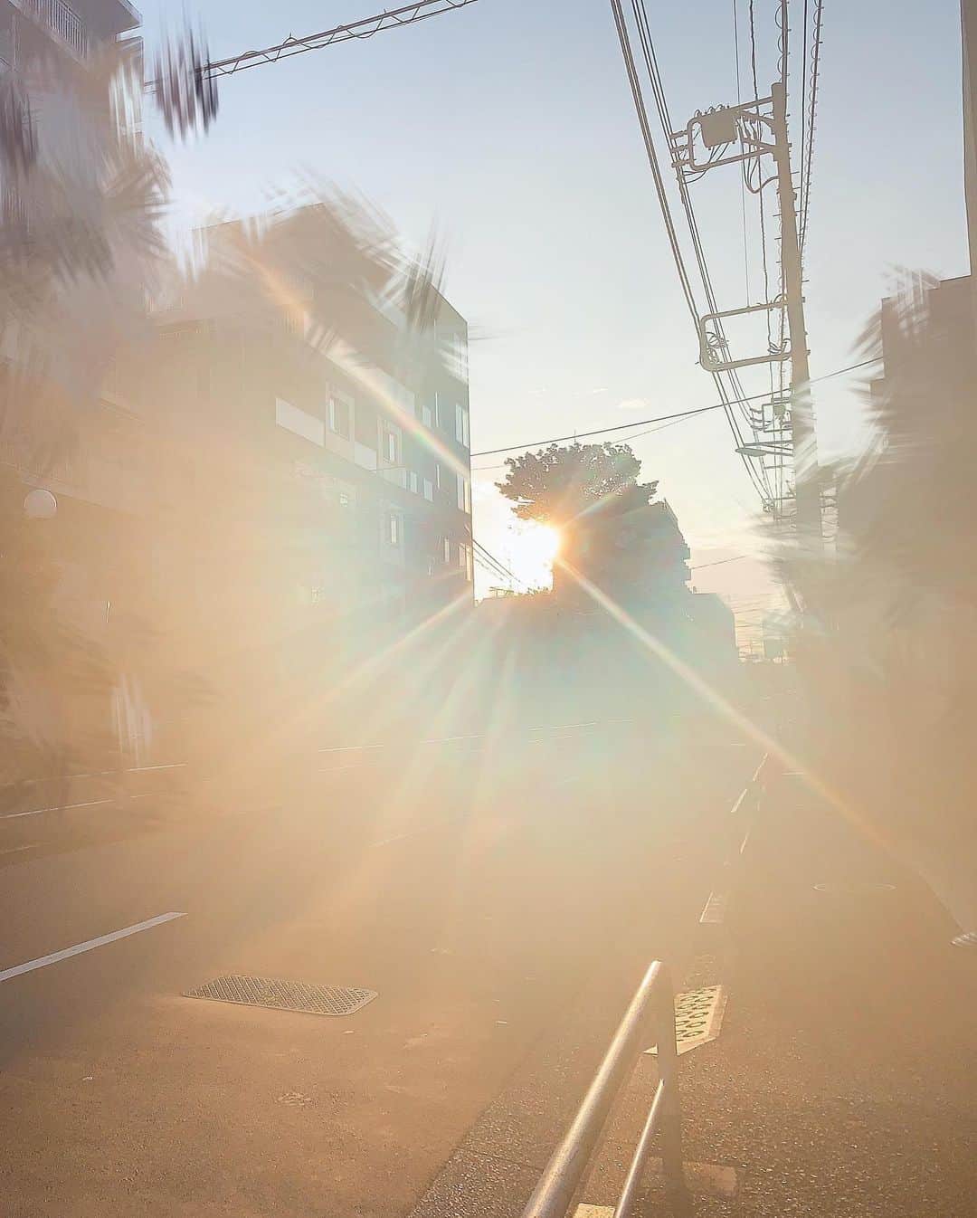 津島衣里さんのインスタグラム写真 - (津島衣里Instagram)「走って、走って、走った🏃🏻‍♀️☀️ 朝日が綺麗でした。 #おはよう #空 #朝日 #朝陽 #朝焼け #running #jogging #sky」9月17日 7時08分 - eritsushima_official