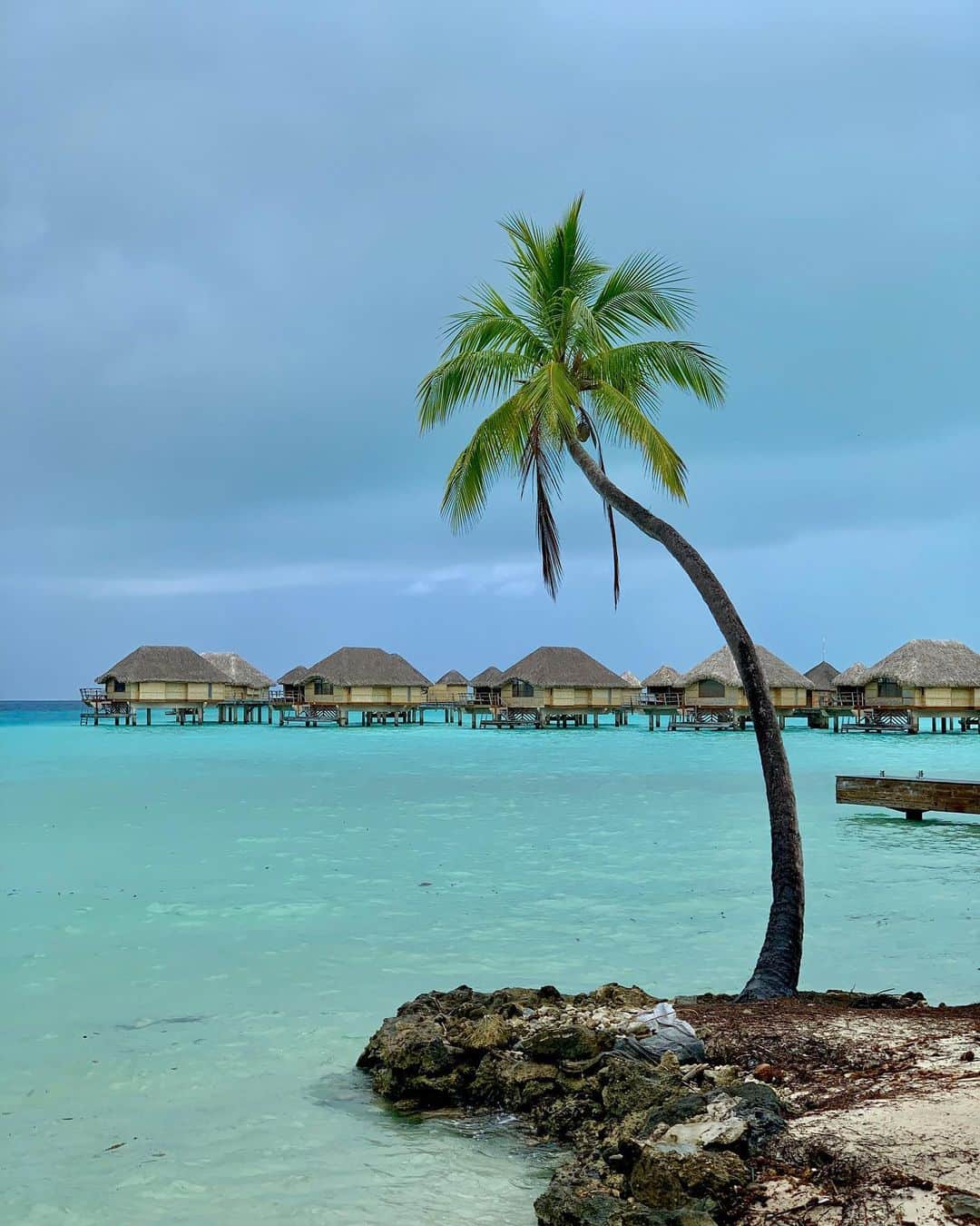ケリー・スレーターのインスタグラム：「We get to do a lot of cool things and go great places around the world but this one is at the top of the bucket list. @letahaaislandresort is one of the nicest places I’ve ever been. If you want the classic Tahiti experience, this is the place to go. Thanks for having us for a few days after the Teahupoo event. Can’t say enough good things about everything we experienced with you guys. And special thanks to Laurent for throwing out the invite in the first place and to @air_tahiti For getting us there! See you again next Tahiti trip!」