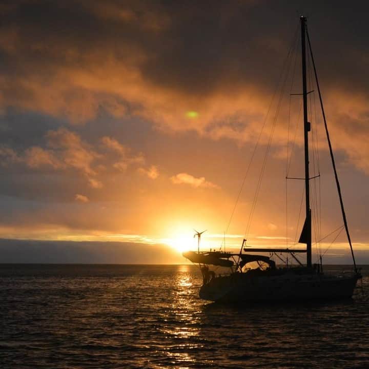 Luxury Cruise by Captain Bruceさんのインスタグラム写真 - (Luxury Cruise by Captain BruceInstagram)「今年のサンライズツアーは、思っていたよりもずっと良かったと、たくさんのお客様から伺いとても印象的でした :D ⁠  今週からは、午後に催行するBBQツアーが再スタート！⁠ 皆様、海でたくさん遊んでおなか一杯お召し上がりください💪⁠ ⁠ ⁠ ⁠ #captainbruce 🌺 #sandbar #kaneohe #hawaii #oahu #oahulife #vacation #travel #ahuolaka #キャプテンブルース #天国の海ツアー #天国の海 #アフオラカ #ハワイ大好き #オアフ島 #ハワイの海 #ありがとうございます」9月17日 8時10分 - cptbruce_hi