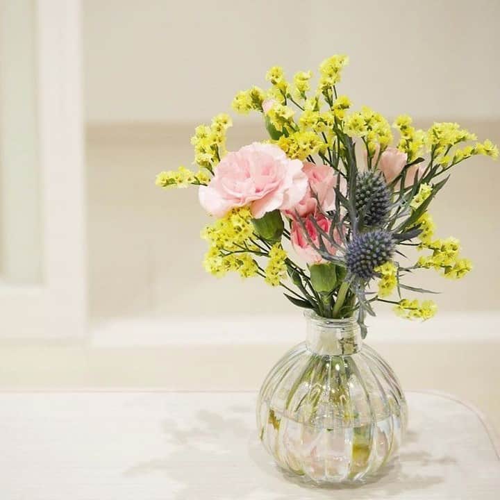 Bloomee LIFEさんのインスタグラム写真 - (Bloomee LIFEInstagram)「・⠀ キュッと狭めの口がポイント。「８の字」を作れる花瓶をつかって華やかさアップ♪⠀ ⠀ ふっくらとしたかぼちゃのような⠀ 丸い器と狭めの口のおかげで⠀ お花と花瓶でキレイな「８の字」に！⠀ ⠀ カーネーションと黄色のスターチスの⠀ 華やかなブーケが引き立っています✨⠀ ⠀ ユーザーさんはこちらの花瓶、⠀ 100円ショップで購入されたとのこと🌷⠀ ⠀ もし見かけたらぜひ⠀ 手に入れたいアイテムですね！⠀ お花が届くのがもっと楽しくなりそうです♪⠀ ・⠀ Special Thanks Photo by⠀ @yuki3811⠀ ・⠀ ／⠀ 💐 期間限定！Wキャンペーン開催中 💐⠀ ＼⠀ ①ご利用を検討中の方に⠀ 期間限定9/30まで、お得なキャンペーン開催中！⠀ 「花とはじめる、秋のヒュッゲ」⠀ ぜひ"プロフィールトップのハイライト"をチェックしてください♪⠀ ⠀ ②#花便り月間 💐⠀ 9月は敬老の日、感謝を伝える月。⠀ 「ありがとう」の言葉を添えて⠀ ぜひご参加ください！⠀ ⠀ ご参加いただいた中から、大切な人に⠀ お花を送れる、特別なギフトをプレゼントします🎁⠀ 詳しくは"プロフィールトップのハイライト"をチェック👌⠀ ・⠀ #ナチュラル#花のある暮らし#お花のある暮らし#花のある生活#花が好き#bloomeelife#ブルーミーライフ#花部#花写真#花を飾る#素敵な休日#日々の暮らしを楽しむ#花のあるくらし#お花の定期便#花がある暮らし#ミニブーケ#花のある部屋#切花#スターチス#100円ショップ#フラワーベース」9月17日 11時00分 - bloomee