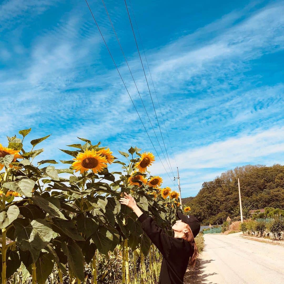 パク・ハソンさんのインスタグラム写真 - (パク・ハソンInstagram)「나는 해 바라기🌼」9月17日 11時35分 - mintsungrace