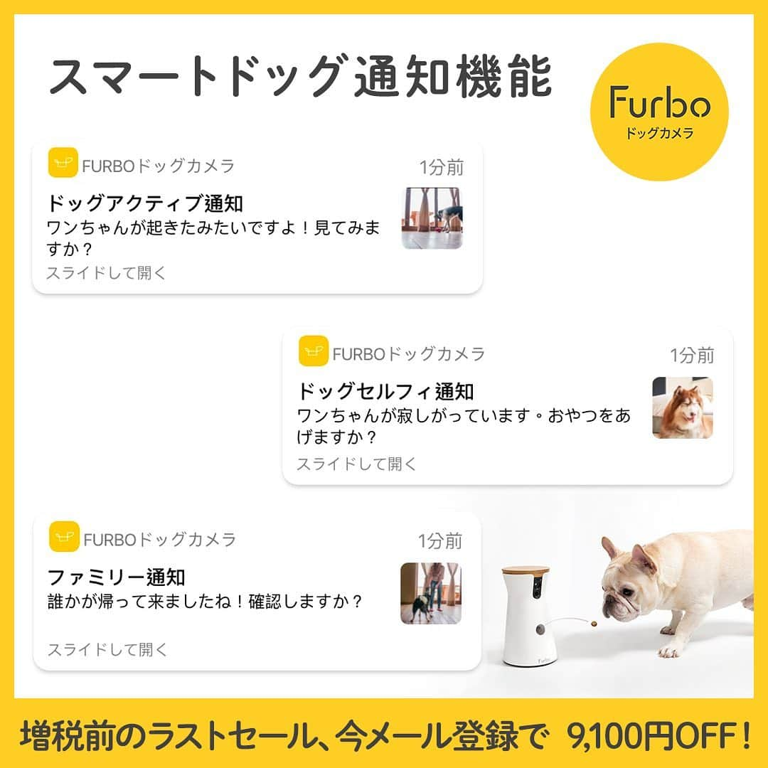 Furbo ドッグカメラさんのインスタグラム写真 - (Furbo ドッグカメラInstagram)「「ねぇママ帰ってきた？」⁠⠀ ⁠⠀ 「うーんまだ見えないなー。でももうスグだよね！！！」⁠⠀ ⁠⠀ 🙋‍♀️「もうする帰るからね。よしおやつあげるからファーボの前に集合！」⁠⠀ ⁠⠀ 🎥：@emwng⁠⠀ ⁠⠀ 増税前最後のビッグセール開催予定、今事前にメルマガを登録するとセール中に使える限定クーポンをプレゼント！⁠⠀ 詳しくは⁠⠀ @furbo_japan⁠⠀ のURLよりご確認ください！⁠⠀ ⁠⠀ ⁠⠀ ⁠⠀ ⁠⠀ Furboはお留守番中の愛犬を見たり、話しかけたり、おやつもあげられる高機能ドッグカメラです。⁠⠀ 世界10か国で販売されているベストセラー商品です。⁠⠀ ⁠⠀ スマホ、タブレットの専用アプリを通して、お留守番している愛犬と繋がることができます。⁠⠀ ⁠⠀ 詳しくは⁠⠀ @furbo_japan⁠⠀ のURLよりご確認ください！⁠⠀ ⁠⠀ ⁠⠀ ⁠⠀ #ファーボは見た⁠⠀ #ファーボでお留守番できるもん⁠⠀ での投稿や「@furbo_japan」のタグ付け投稿でシェアされるかも！⁠⠀ ぜひご参加ください！⁠⠀ ⁠⠀ ⁠⠀ ⁠⠀ #愛犬との暮らし #お留守番犬 #お留守番カメラ #ドッグシッター #furbo #ファーボ⁠⠀」9月17日 12時02分 - furbo_japan