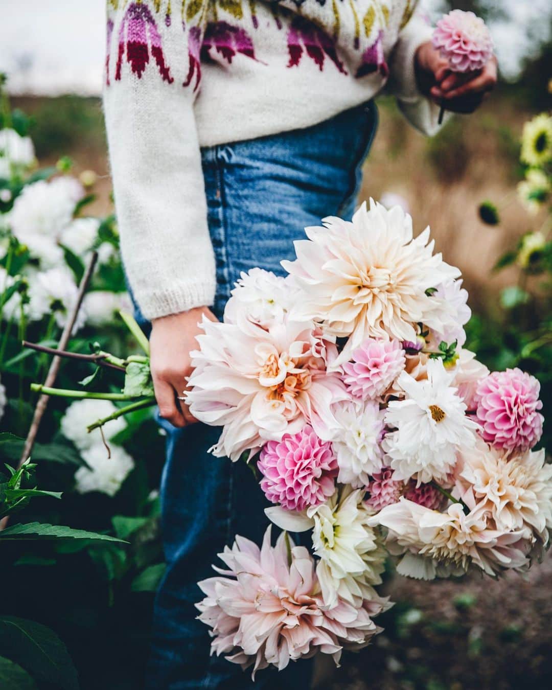 Linda Lomelinoのインスタグラム：「Some things I’ve worked in recently! Apparently they’ve all involved @myfeldt, dahlias and shooting at @harplingeblomsterodling 😂 Definitely not complaining about that ♥️ We shot all the things for My’s shop last weekend, she makes these beautiful watercolor paintings, pretttty insane, right?! The bumble bee print is my favorite!」